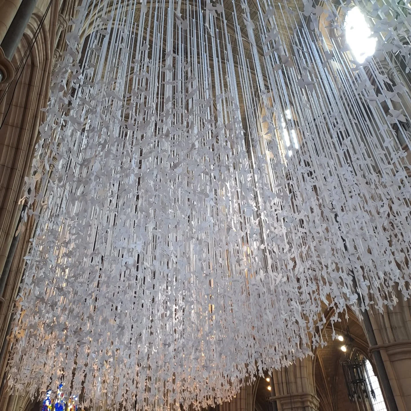 Peace and protest 

@southwark_cathedral @ionacommunity 

#peacedoves #labyrinth #righttoprotest  #pilgrimage #pilgrimandpup