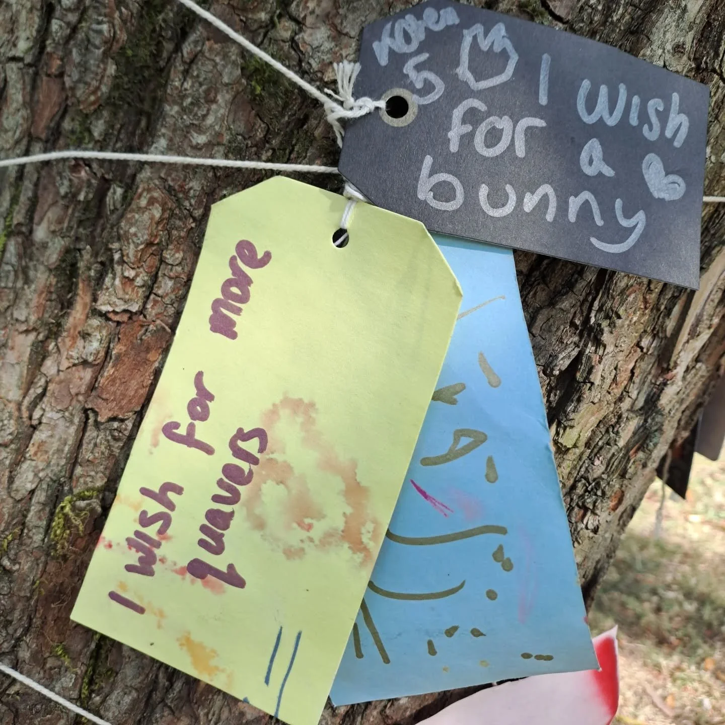Wishes

#wishes #quavers #prayer #pilgrimage #pilgrimandpup

[Image description: 1) labels tied to a tree, the top one is yellow and reads, i wish for more quavers. 2) the next has a child's drawing of a creature that could be anything, and one word,