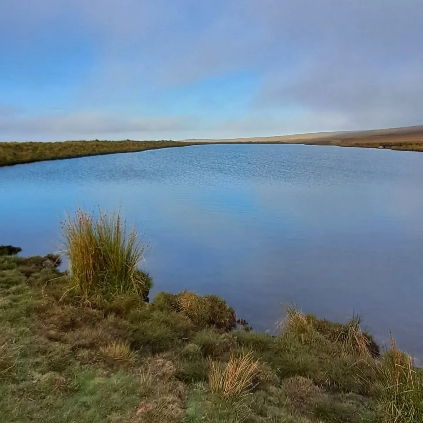 Cold and lovely 

#wildswimming #autumn #pilgrimage #pilgrimandpup 

[Image descriptions: 1) a long blue expanse of water, surrounded by grass and reeds. 2) Robin, wearing a khaki jacket, looking up at the camera; there's a corner of picnic blanket a