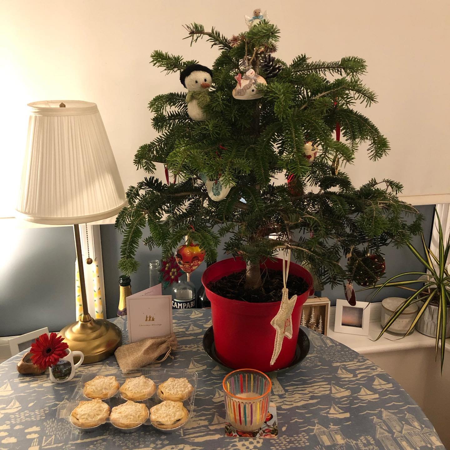 Lights pending. Amongst a lot of hard things this Christmas, in my world and the world, love and a lovely tiny tree🎄

#christmastree #stretchyrobin #pilgrimage #queerjoy #baileysandpup #pilgrimsandpup