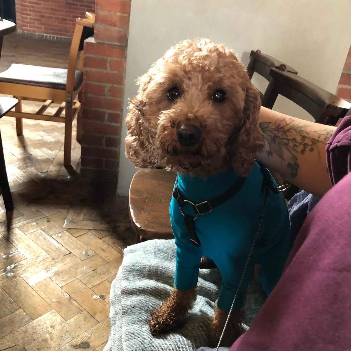 Getting our Gaudete on&hellip; 💕

#gaudete #advent #morethanwelcome #inclusivechurch #pewsandpup #pilgrimage #pilgrimandpup #pinkpinkpink
