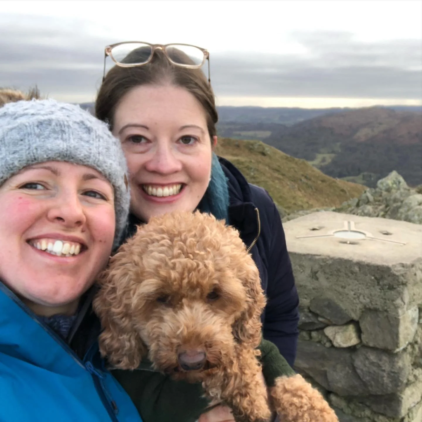 Little pilgrimage over Loughrigg to a fireside in Ambleside 

Zoomies at the end 🐾

#pilgrimage #zoomies #cumbrianchristmas #loughriggfell #loveislove #pilgrimandpub #pilgrimsandpup