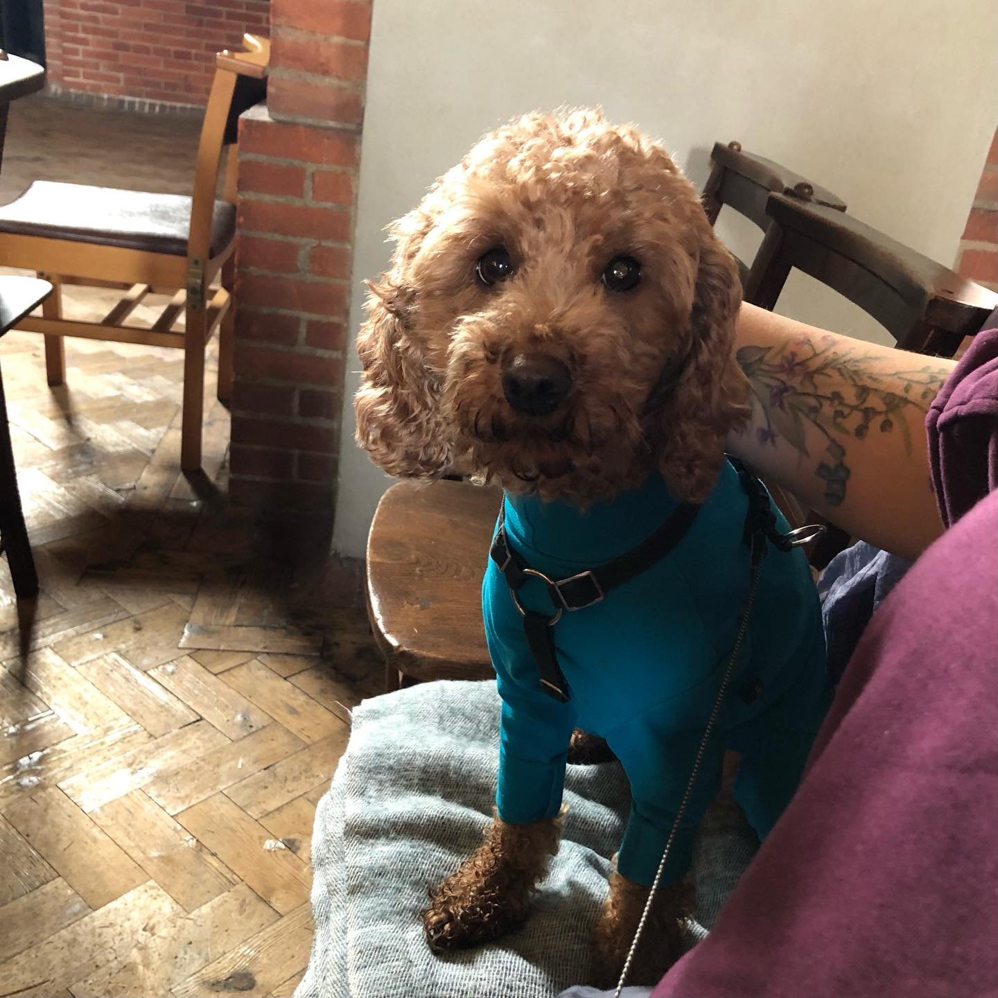 Getting our Gaudete on&hellip; 💕

#gaudete #advent #morethanwelcome #inclusivechurch #pewsandpup #pilgrimage #pilgrimandpup #pinkpinkpink