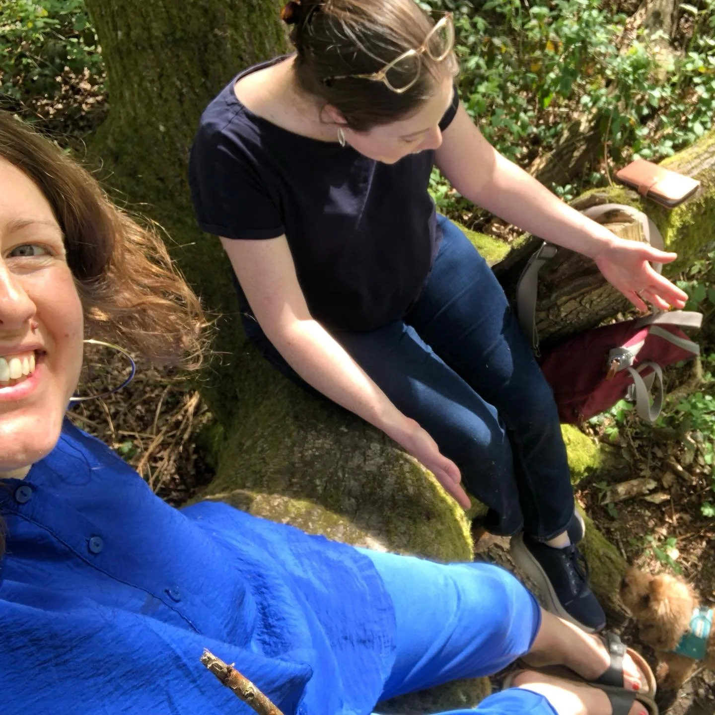 Climbed a tree and all looked at the camera 💙

#goodclimbingtree #pilgrimage #pilgrimsandpup

#transisbeautiful #transwomenarewomen🏳️&zwj;⚧️