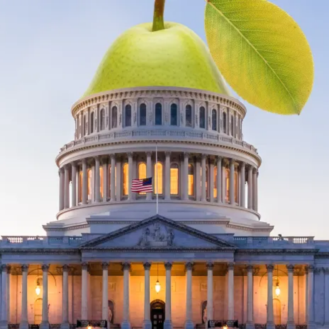 Understanding the 2025-2030 Dietary Guidelines: What Changed and What it Means for You