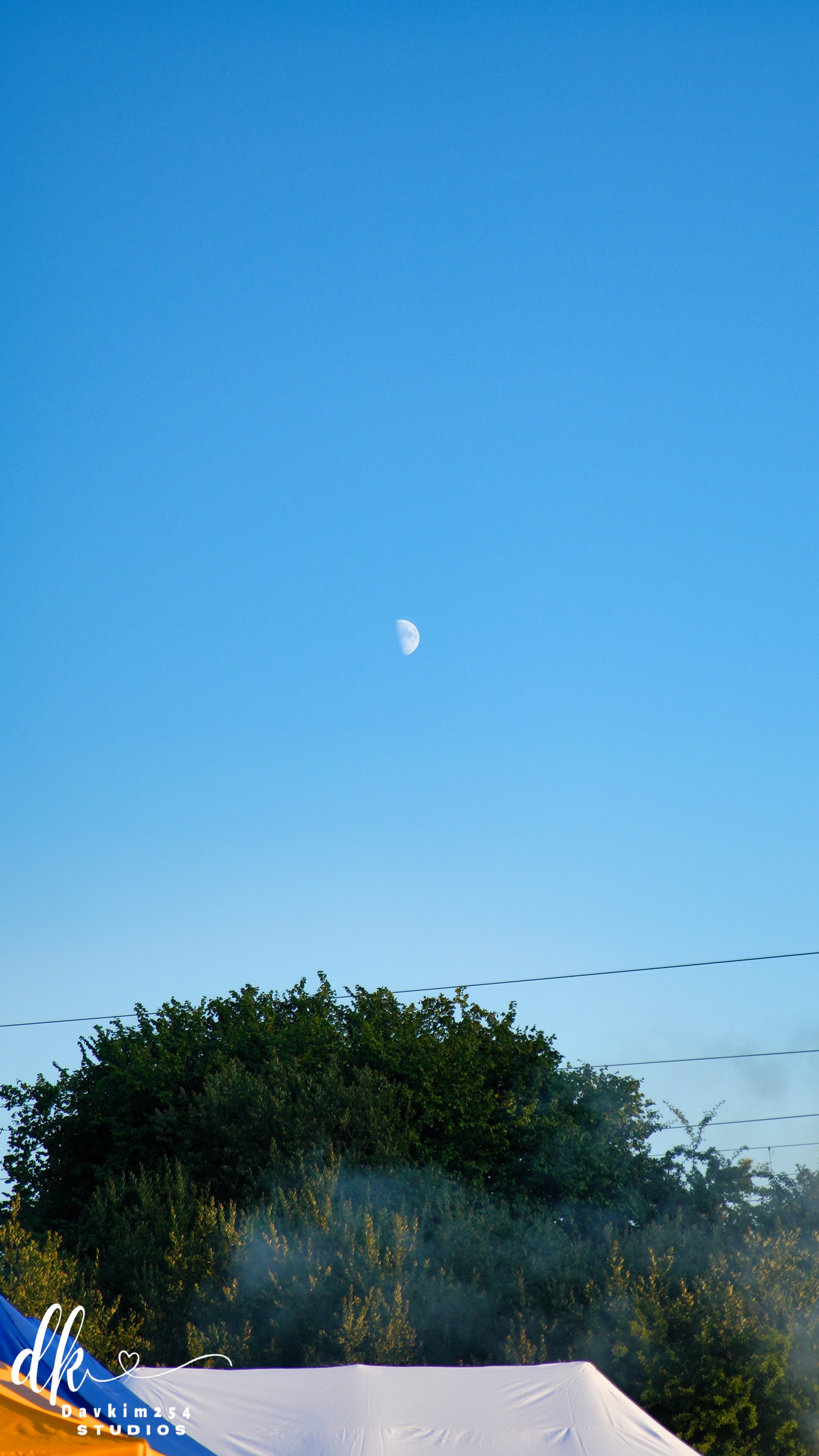 DSC09940.jpg