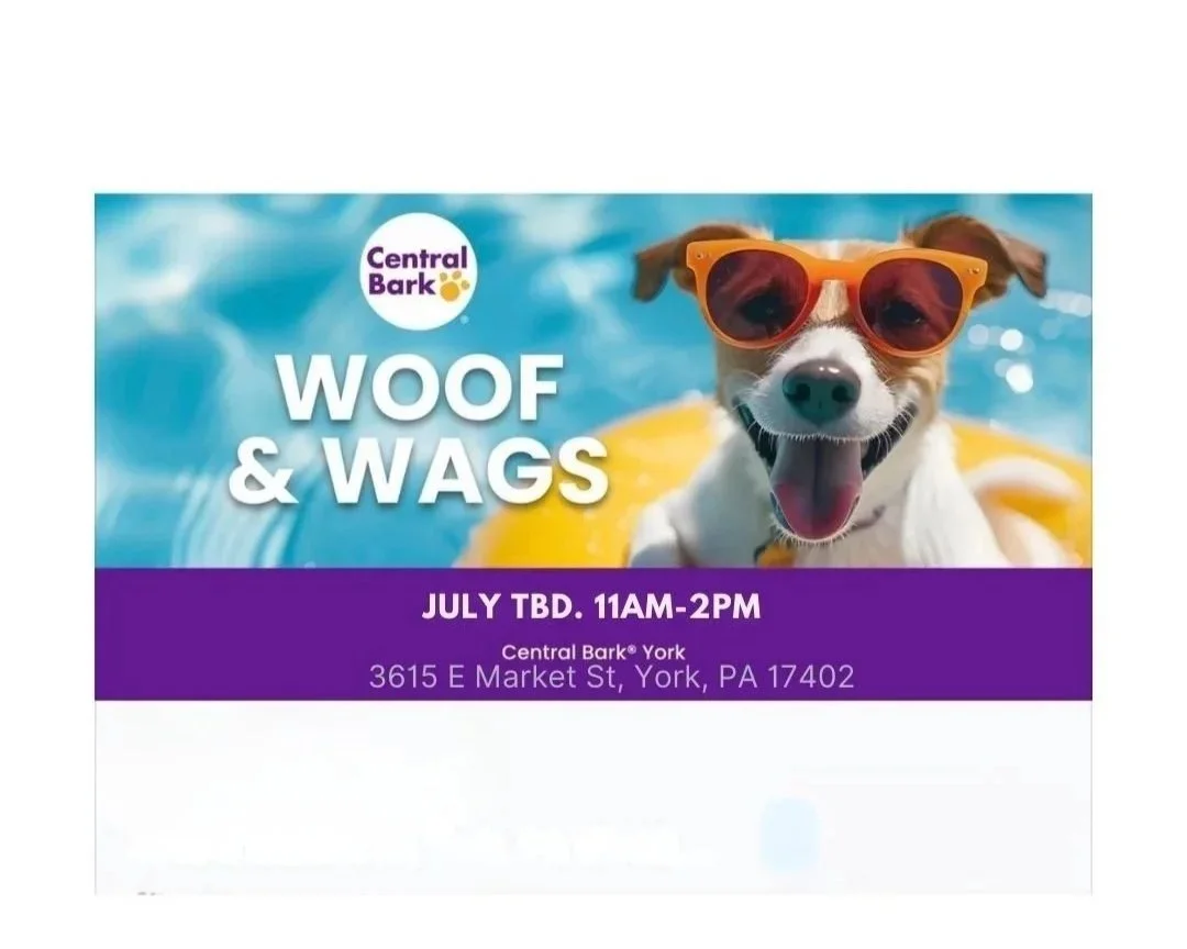 TBD Woofs &amp; Wags