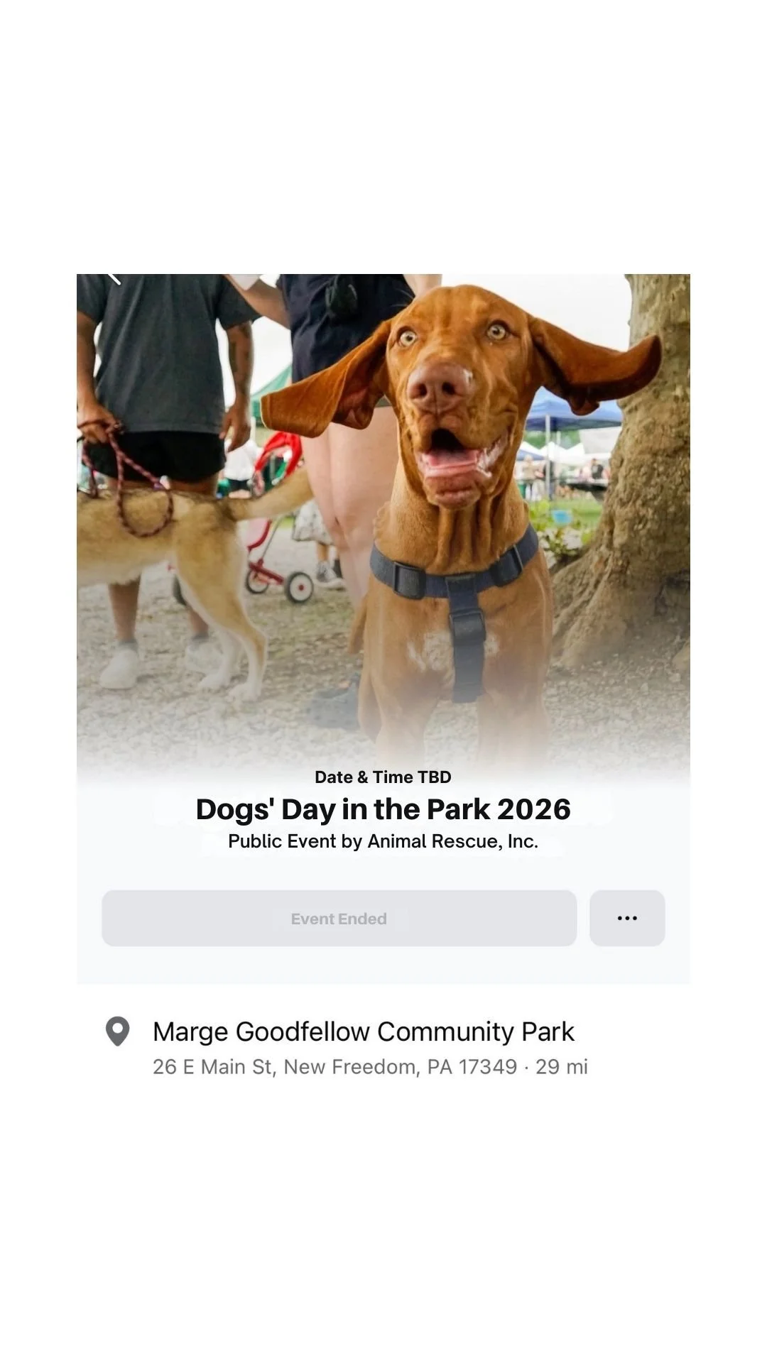 TBD -Dogs Day in the Park               New Freedom, PA