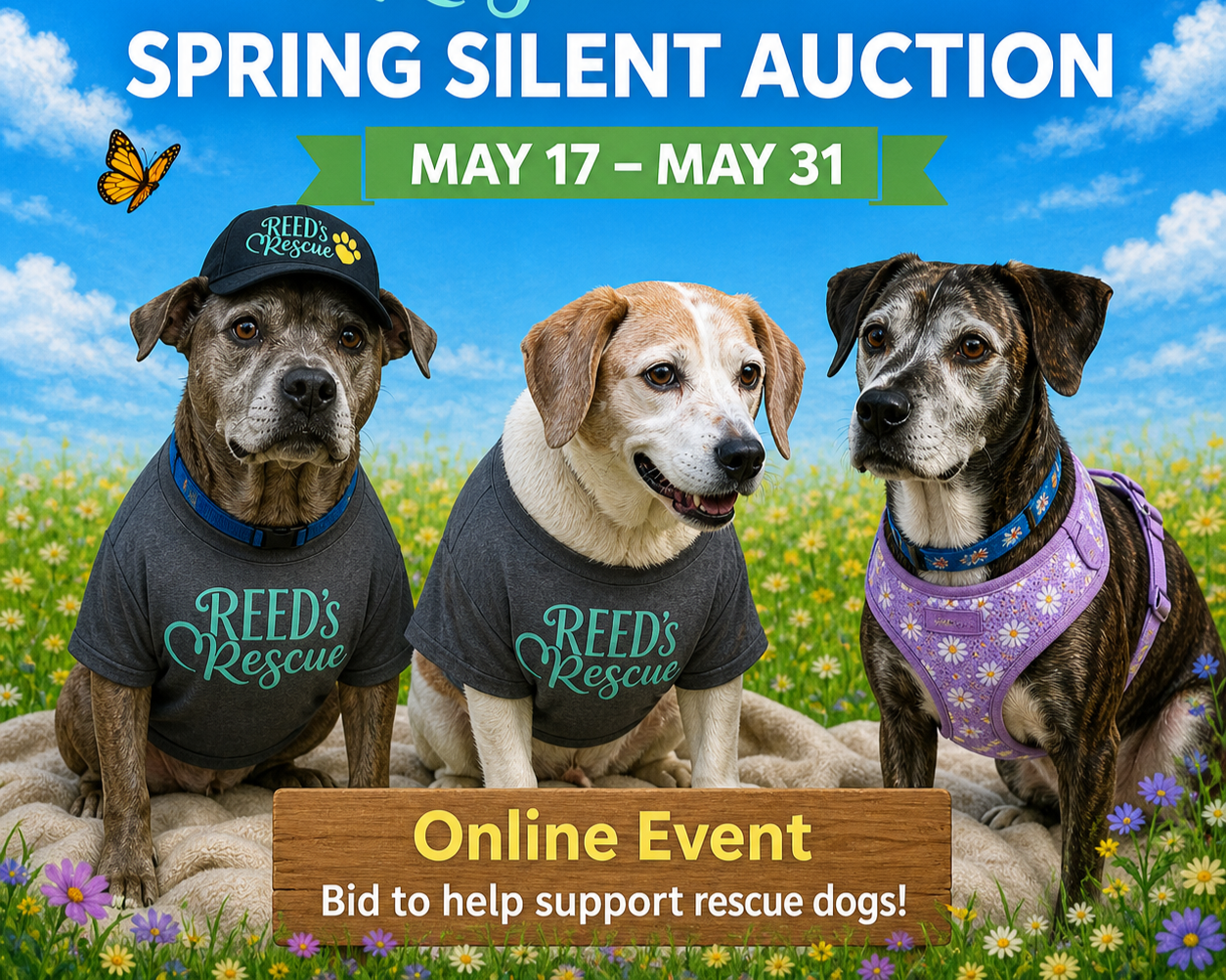 Reed's Rescue 2nd Annual Silent Auction
