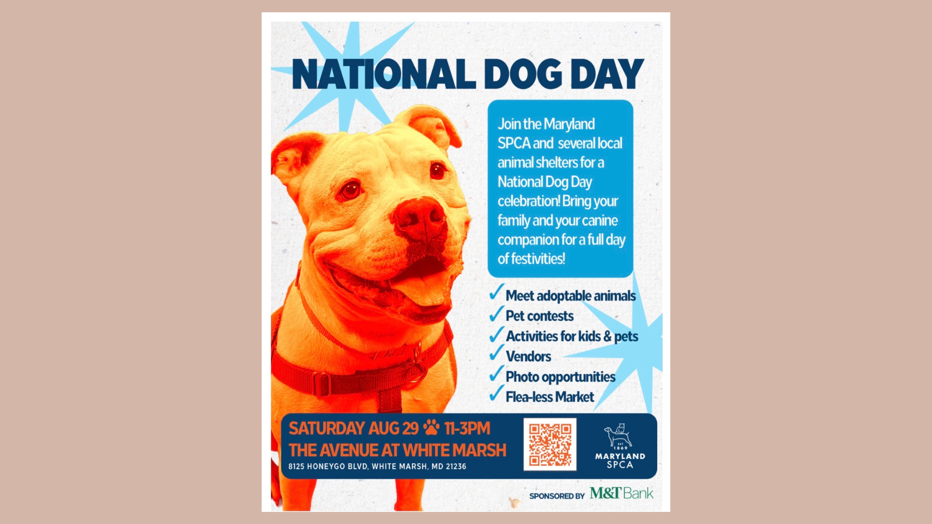 SPCA National Dog Day