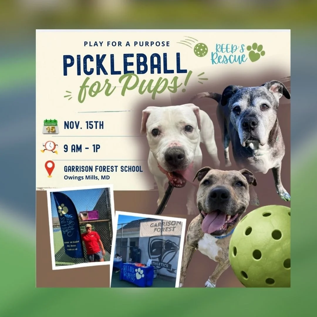Pickleball for Pups