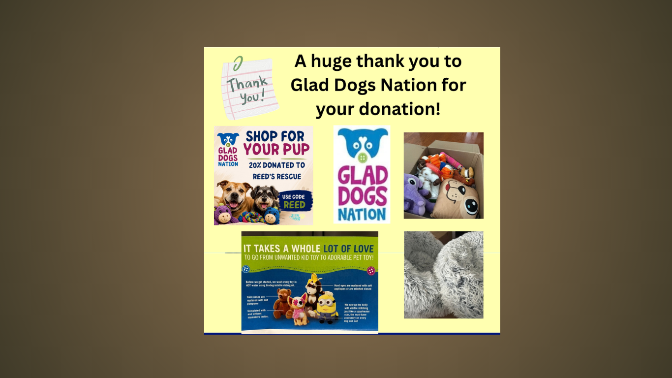 Glad Dogs Nation