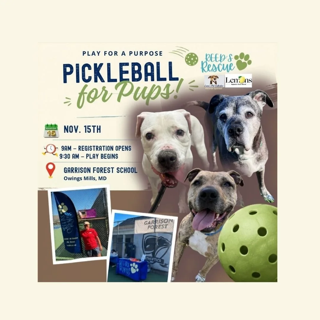 Pickleball for Pups