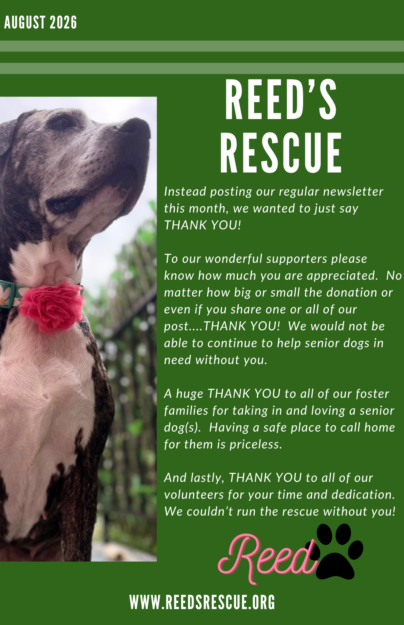 Flyer from Reed's Rescue, August 2026, with a photo of a senior dog wearing a red flower collar, and text expressing gratitude to supporters, volunteers, and foster families, along with website URL www.reedsrescue.org.
