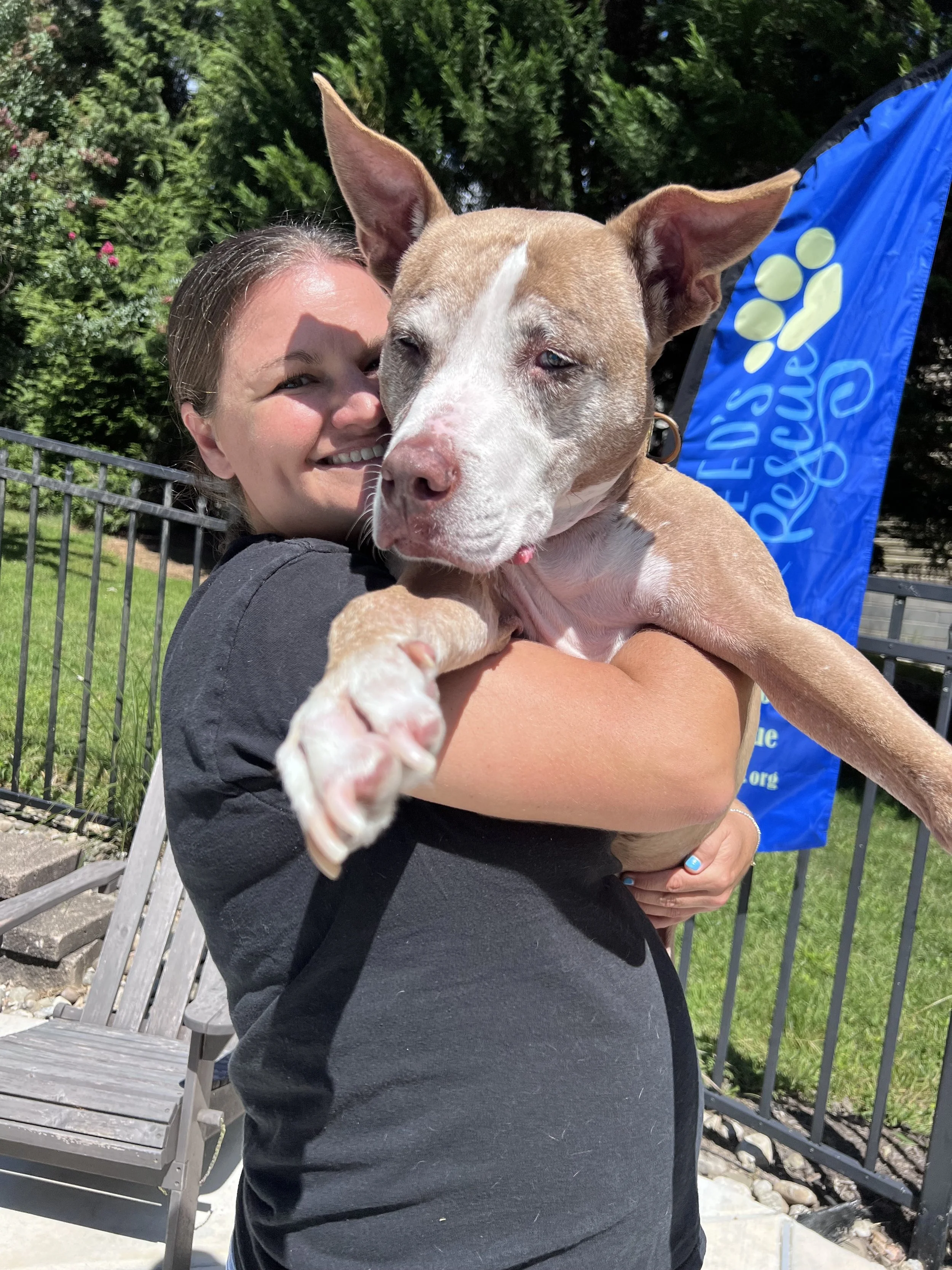 About 1 — Reed's Rescue