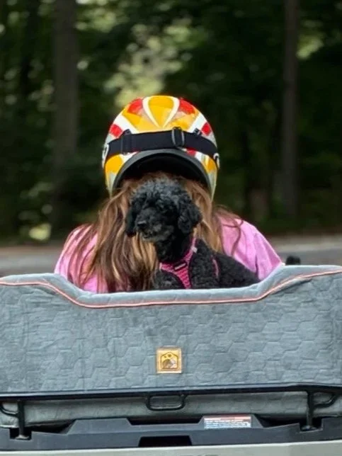 Person wearing a colorful helmet and pink jacket, holding a small black dog on a motorcycle or scooter with a gray cover, in a forested area.