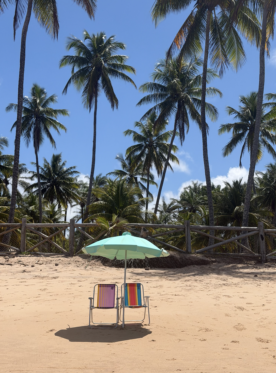 all-inclusive yoga in brasil