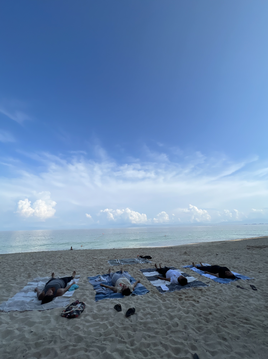 Screen Shot 2023-02-05 at 12.30.27 PM.png