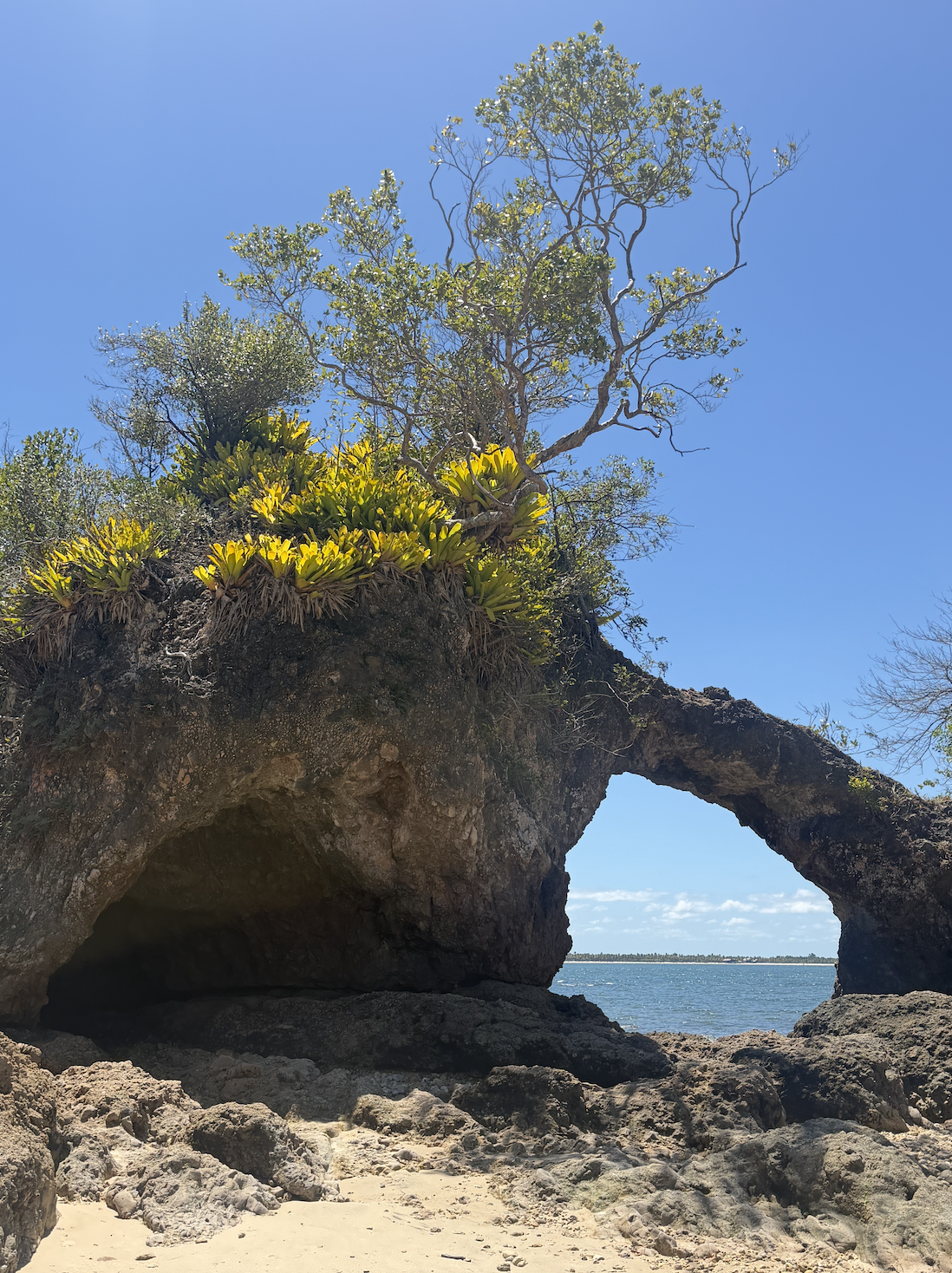 yoga retreat beach brasil