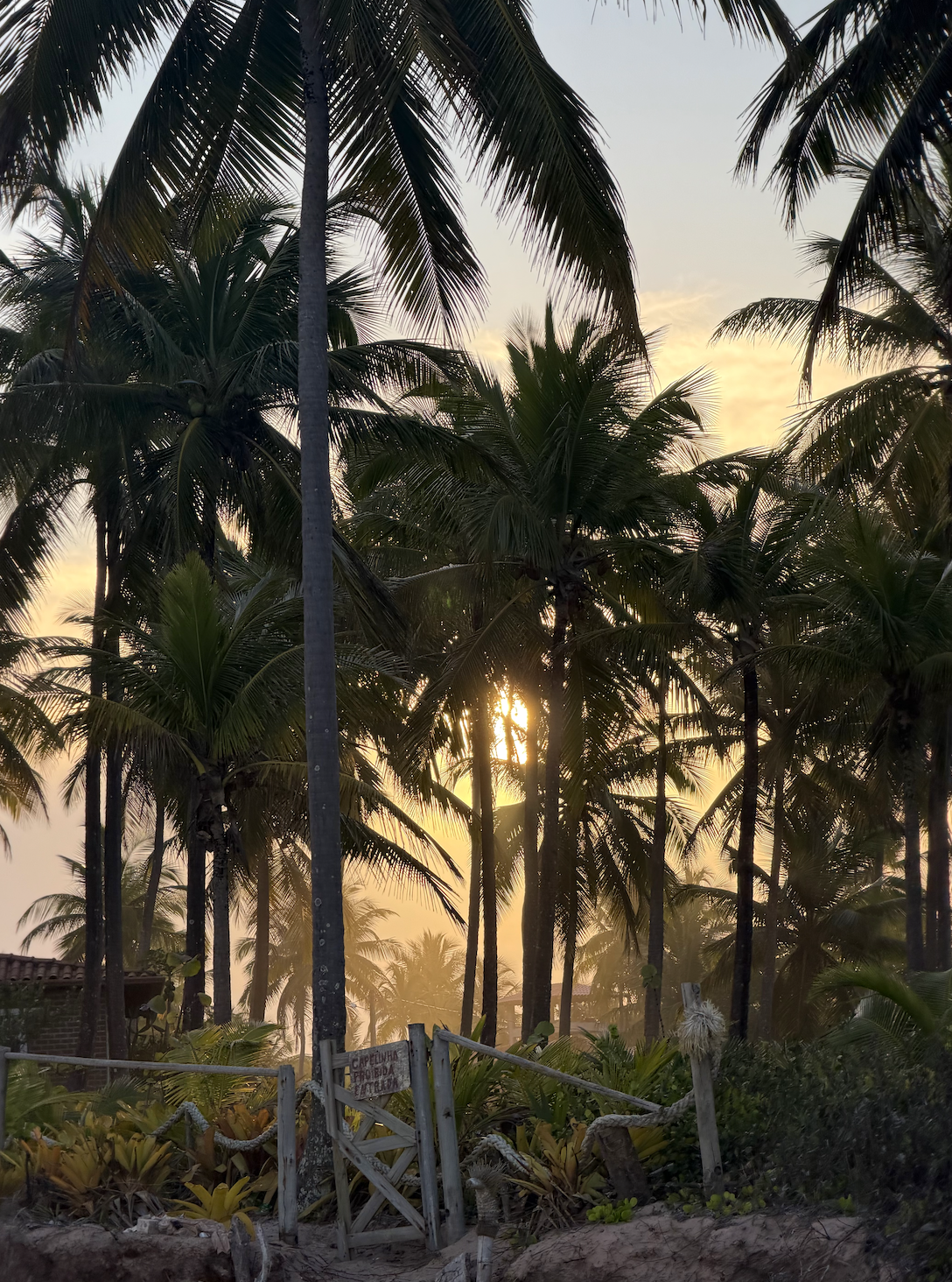 yoga retreat in bahia brazil