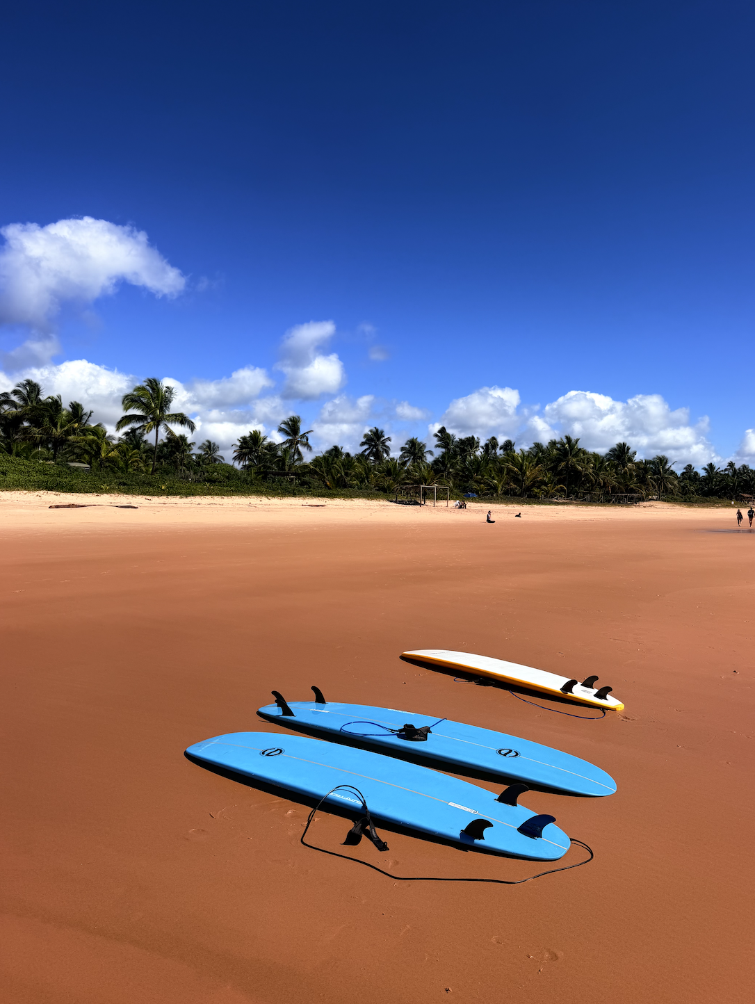 yoga retreat and surf lesson