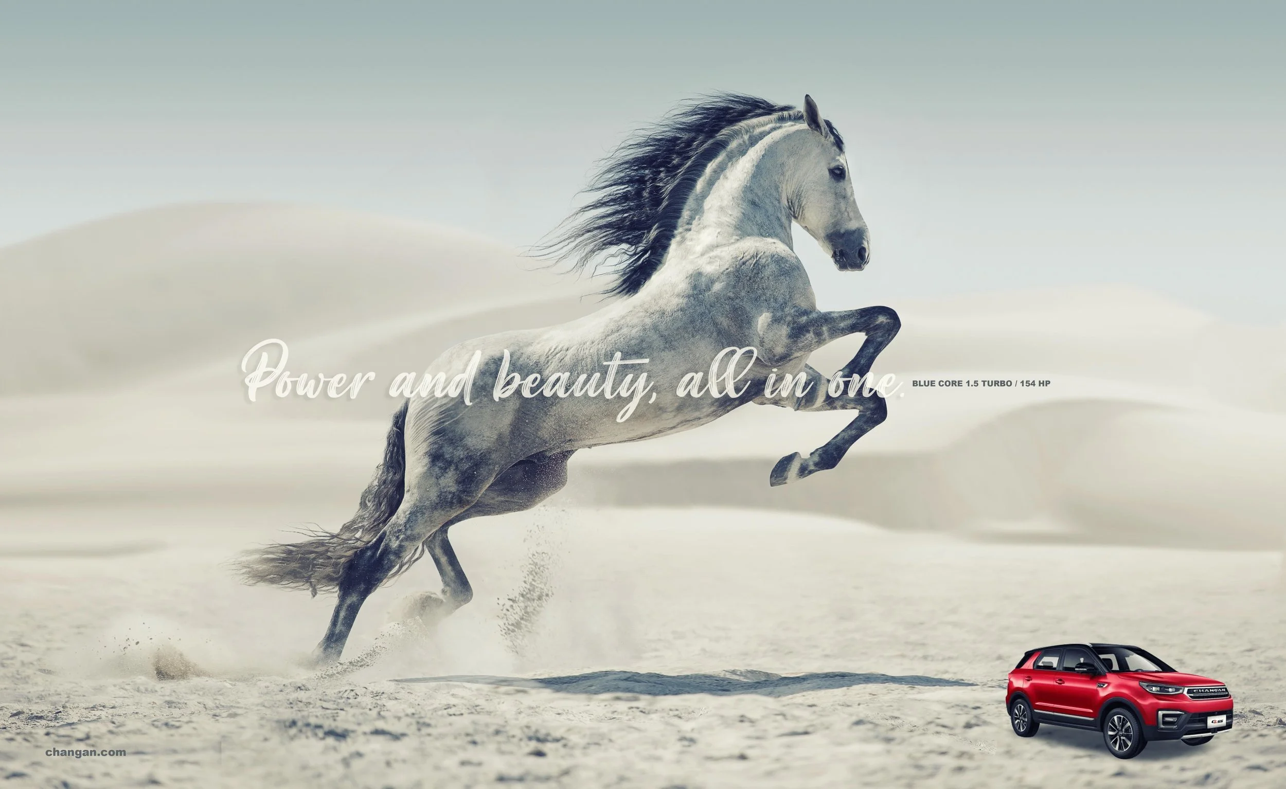 changan horse copy.jpg