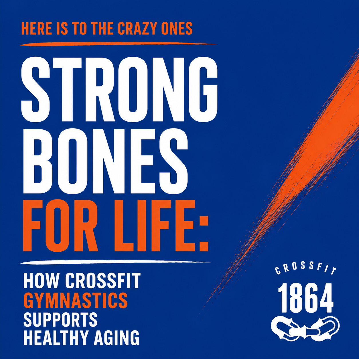 Strong Bones for Life: How CrossFit Gymnastics Supports Healthy Aging