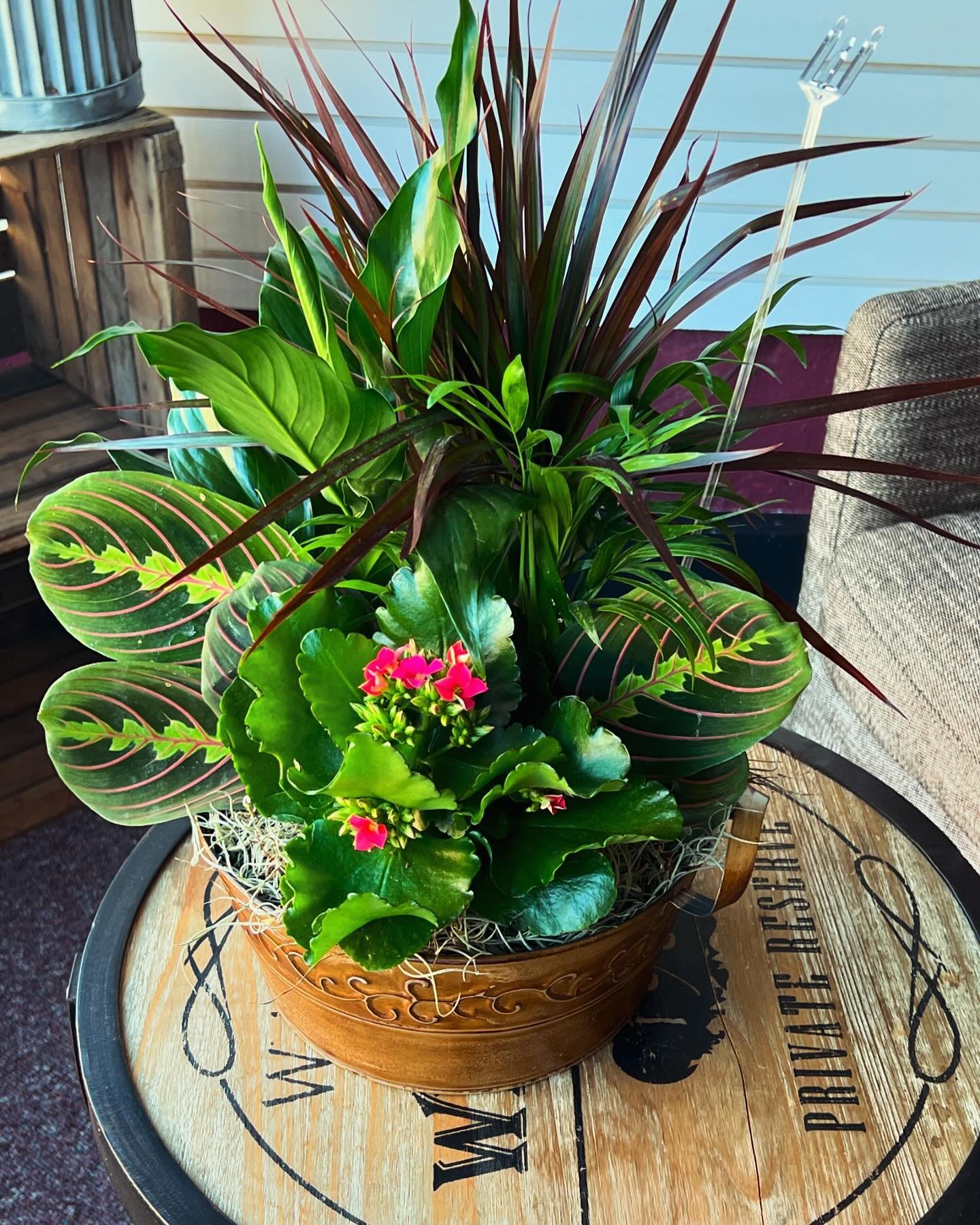 Happy Earth Day! We don&rsquo;t just do bouquets, we have a variety of LIVING plants available, for those of you with a green thumb! ❤️ 🌍 🪴 #earthday #greenthumb #mariasuncorkedflorist #choosemarshall #supportsmallbusiness