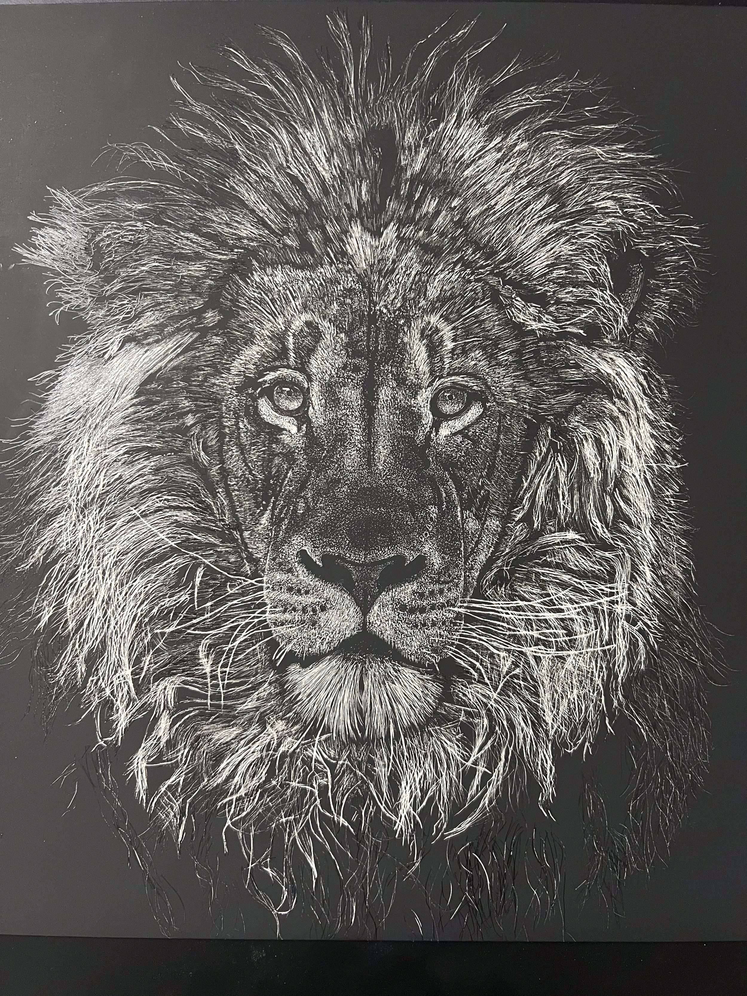 Rui Vasconcelos -  - 12”x16” - Scratchboard -  - $800 