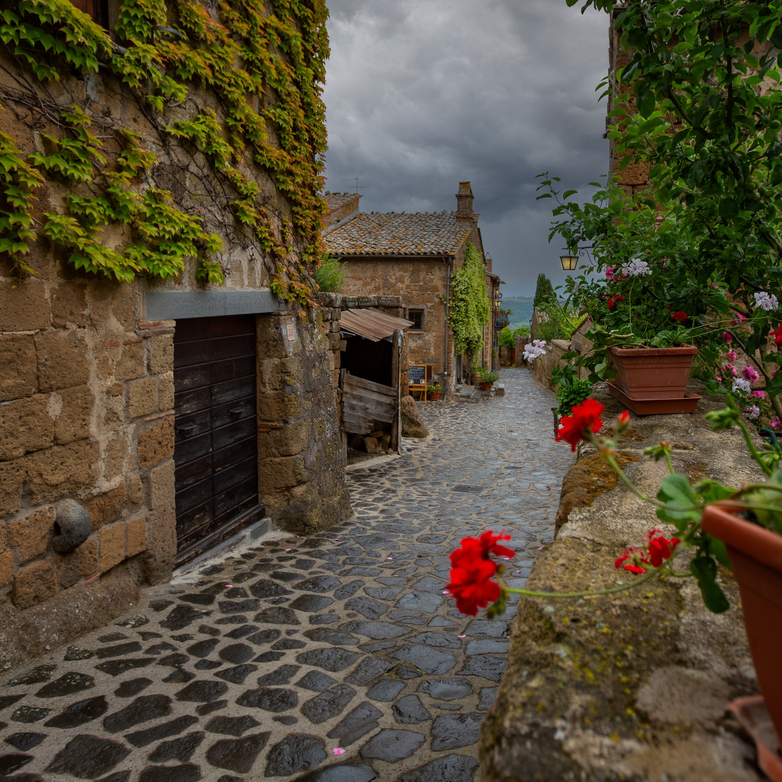XA3A3560-Enhanced-NR-Edit (1).jpg