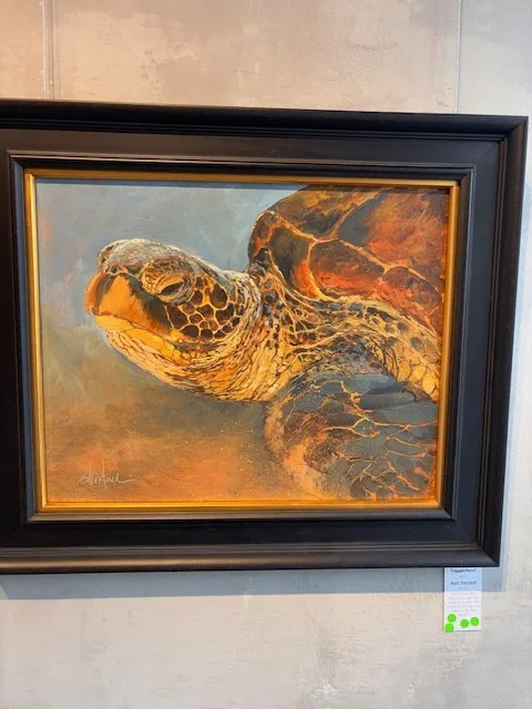Scott Hiestand - Loggerhead  - Acrylic - $850 - You will be very lucky if you get the chance to see this beautiful animal pull itself up on the beach.