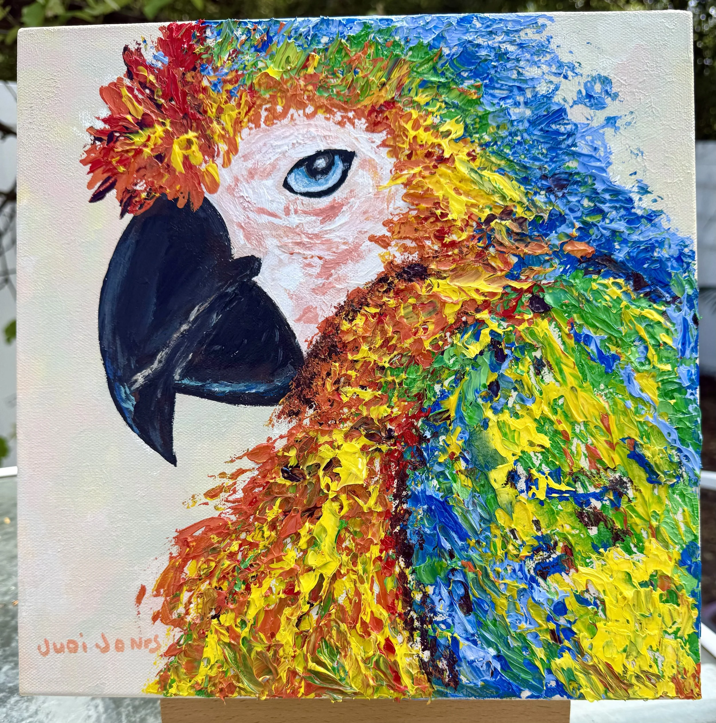 Judi Jones - “Jazzy Parrot” - 12”x12” - Acrylic - The Parrot reminds us that nature always wears the colors of the spirit.  Fleeing from the negative and soaring, Parrot learns and repeats to share joy and knowledge. - $330 