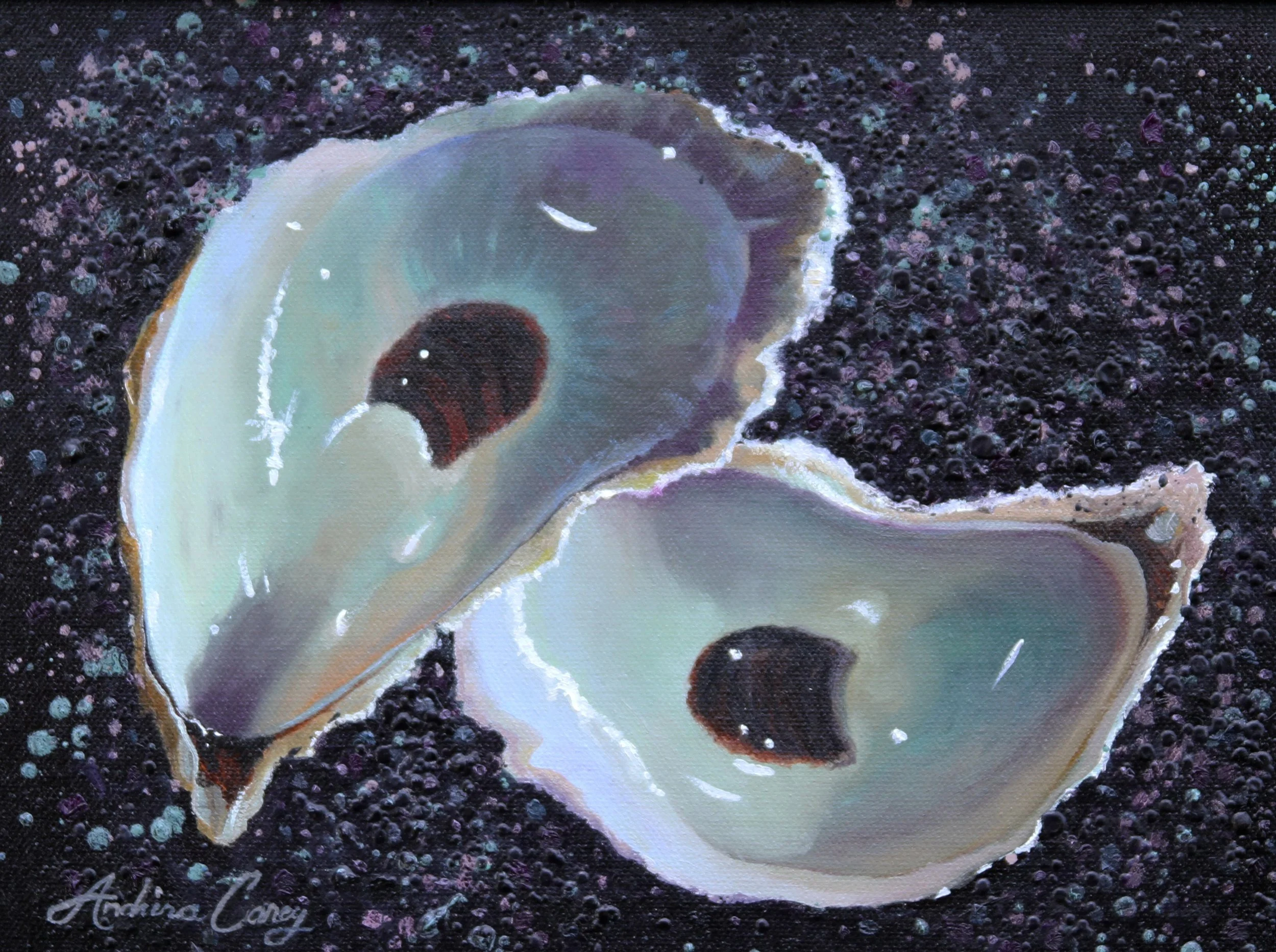 celestaloyster9x12 (1).jpg