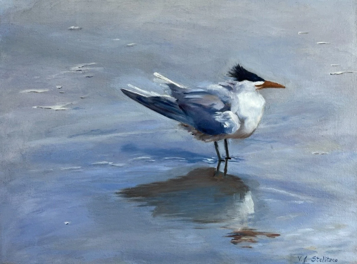 Virginia Stellitano; One Good Tern; Oil; I always enjoy watching the birds on our beach. This tern was looking away from the wind as it was blowing, causing its feathers to puff up.; $250
