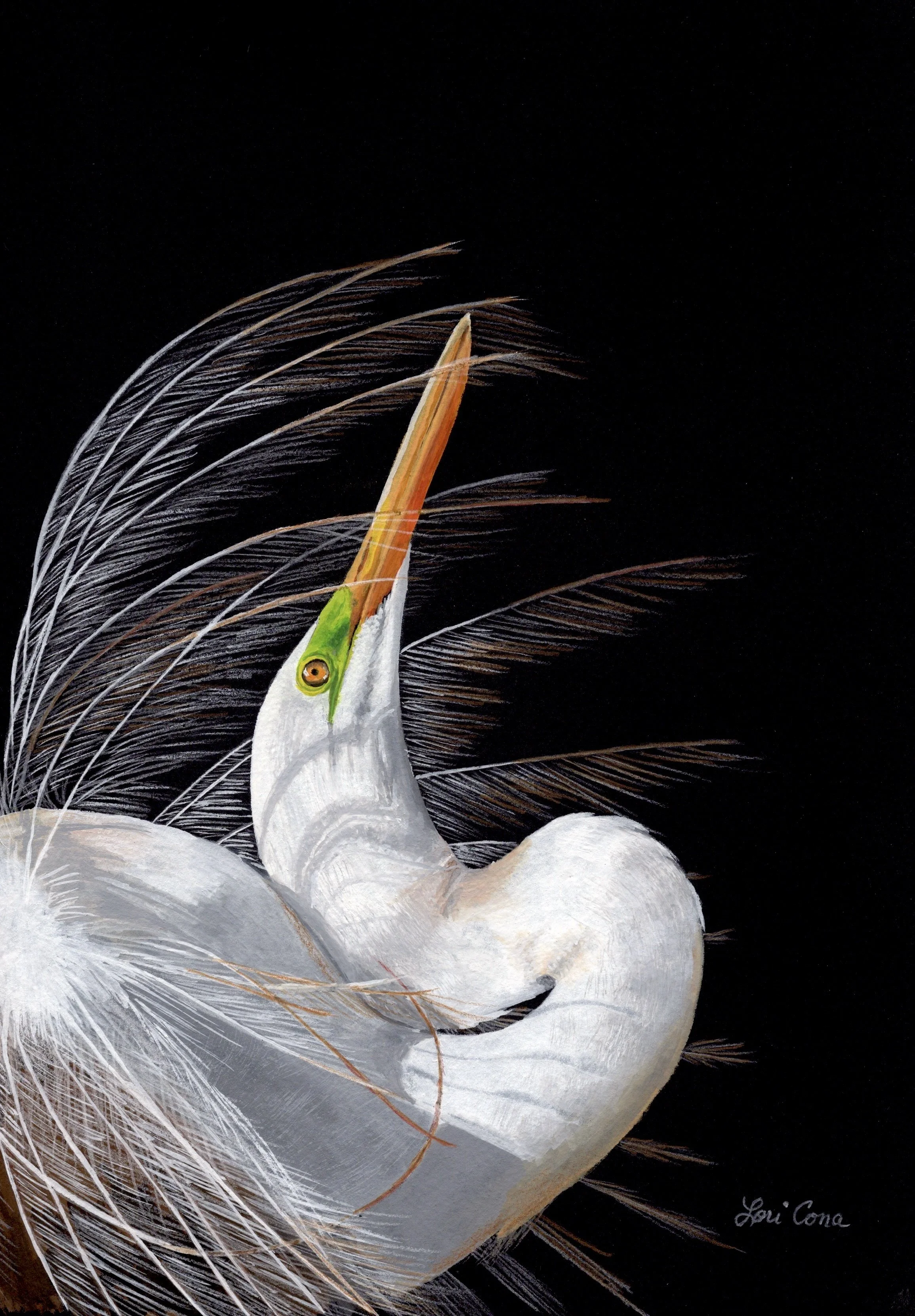 Lori Cona - “Great Egret 1” - 11” x 14” - Watercolor/Gouache - Painted to celebrate the egret’s quiet grace, this piece focuses on the elegance of form, light, and feather. - $500 