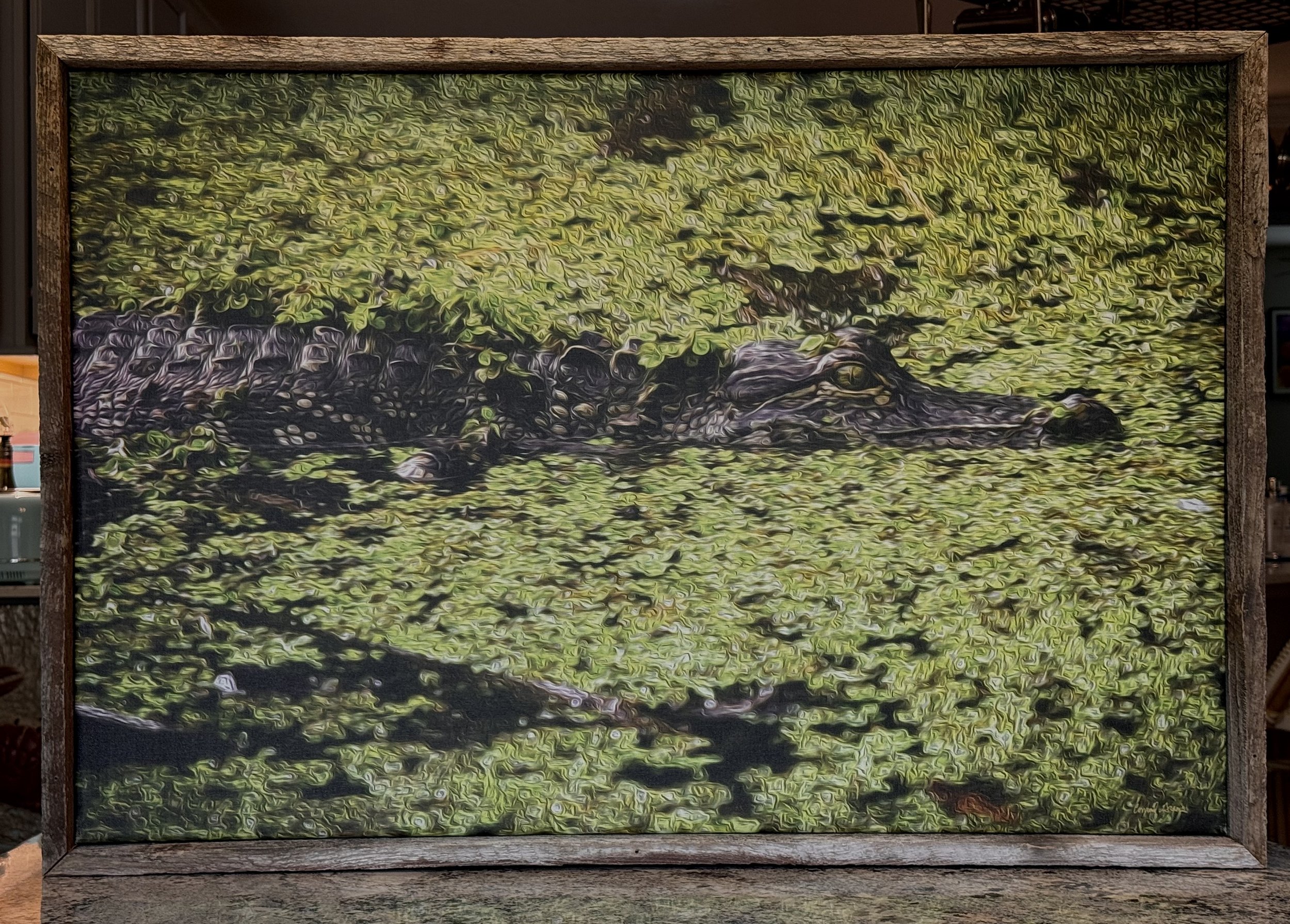 Conrad Grams; Waiting for the Sun; Glicee on Canvas; Photograph was taken in my Myakka River State Park. 
It was manually edited in Photoshop.; $750