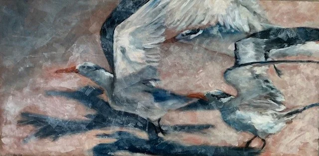 Nancy Wozniak; Power Lift; Oil; Gulls are fascinating birds.  At once fearless of the elements, yet cautious around humans.    They brave the wind, lifting at times from almost a complete standstill-amazing physics!; $450