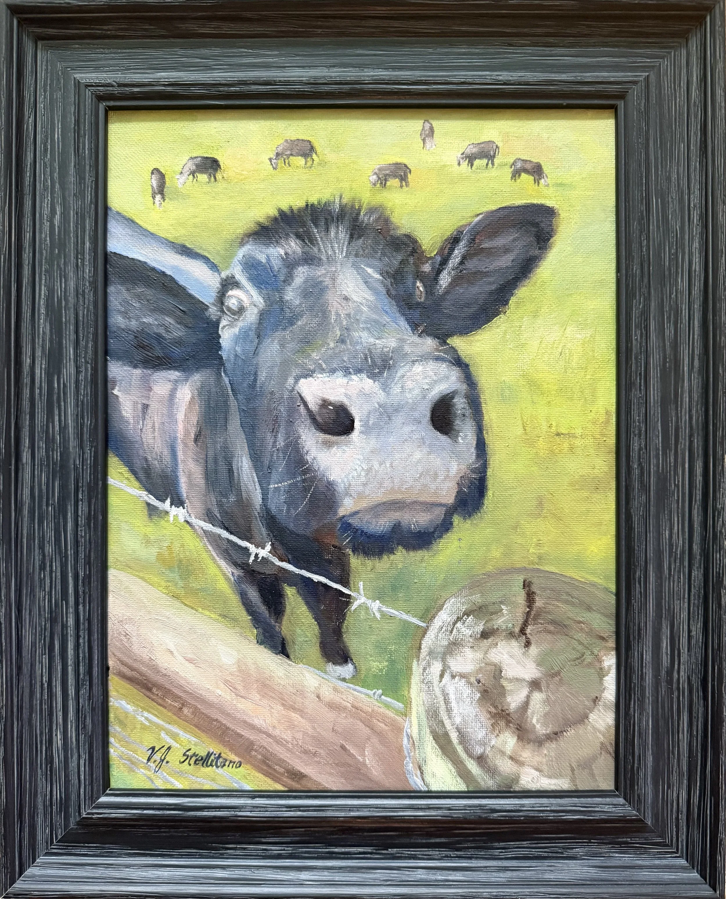 Virginia Stellitano; Curiosity; 12.4x15; Oil; As I was standing by a pasture in North Georgia, this cow wandered over and stood very close to me, watching my every move, for a very long time. I could not resist painting her.; $250