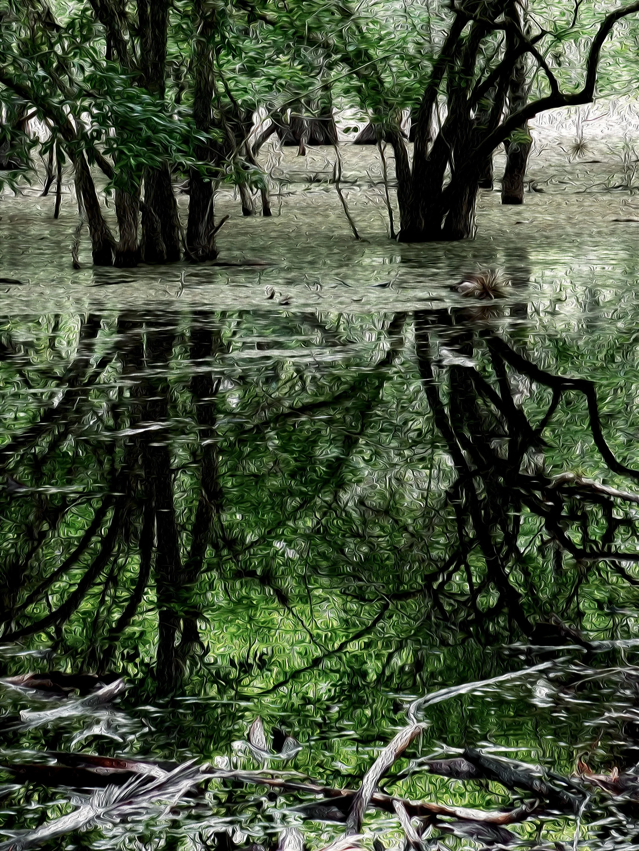 Reflectionsjpeg (1).jpeg