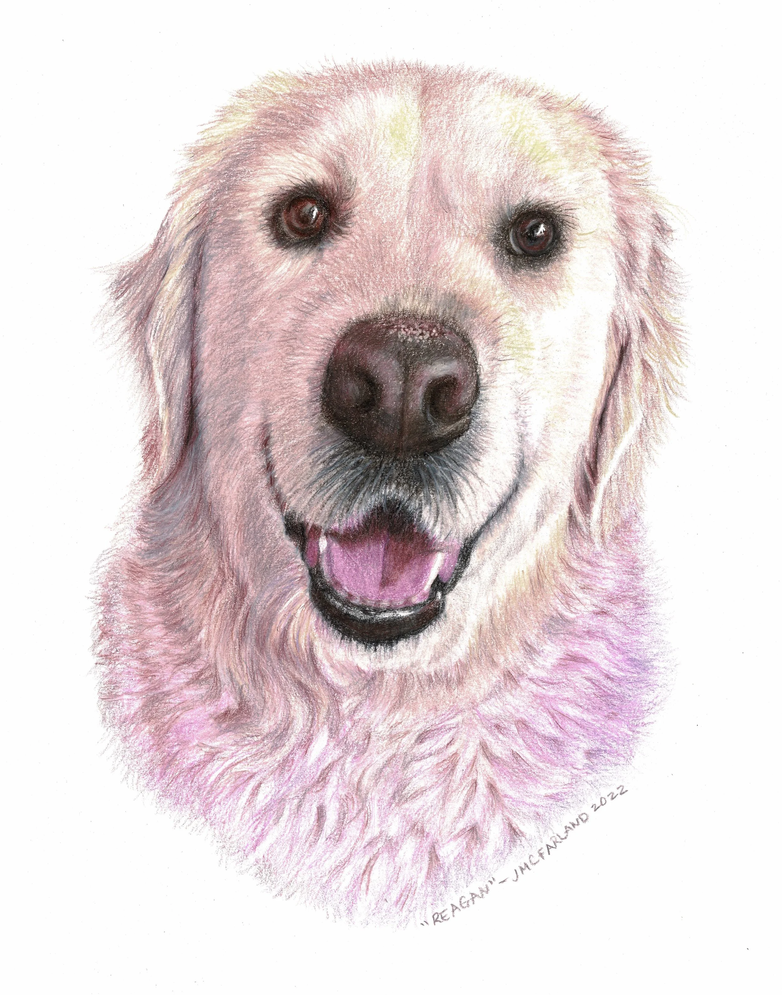 "Reagan" - 2022 - Colored Pencil on Strathmore Drawing Paper - Memorial