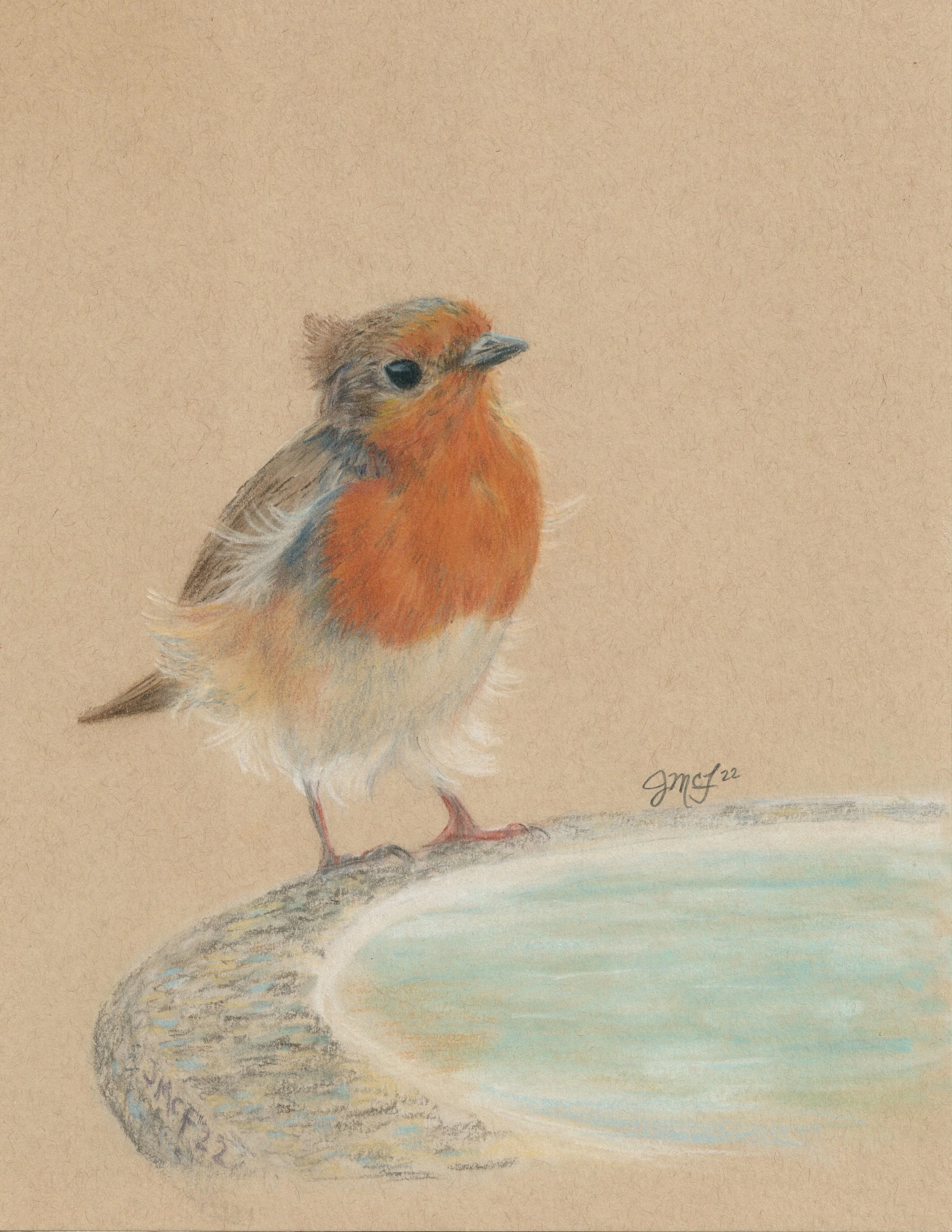 "Blown Away" - 2022
Pastel Pencil on Strathmore Toned Mixed Media Paper.
(Reference Photo Credit: Sue Cross) 8 x 10 Framed Original: $225. Giclee Prints Available.
“The wind blows where it wishes, and you hear its sound, but you do not know where it 