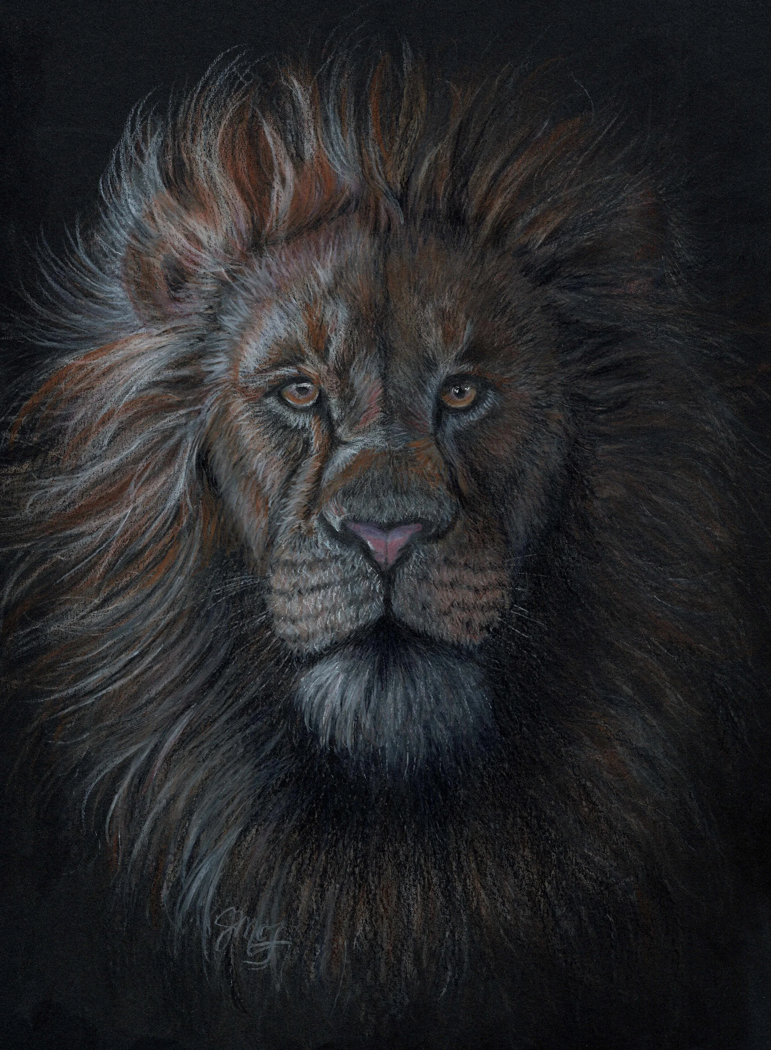 Sometimes You Have to Draw a Lion