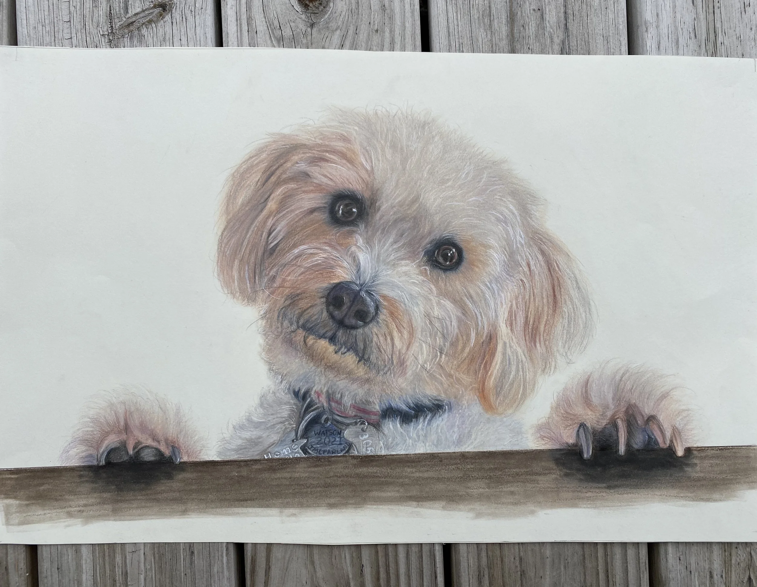 "Little Beggar" - 2021 - PanPastel and Colored Pencil on Strathmore Drawing Paper