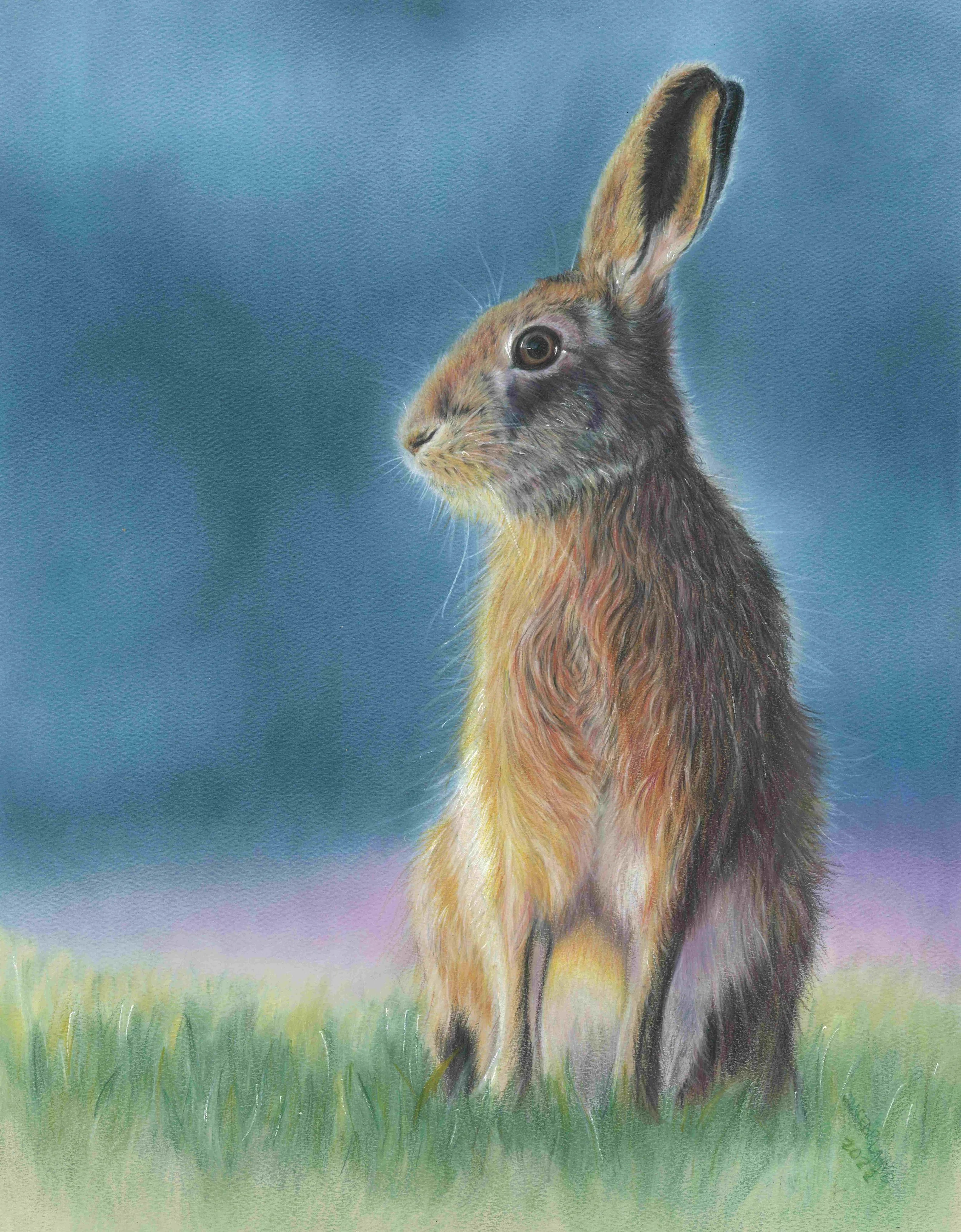 "Be Still And Know" - Wildlife Whispers - 2022
PanPastel and Colored Pencil on Pastel Paper.
(Reference Photo Credit: Sue Cross) 11 x 14 Framed Original: $350. Giclee Prints Available. 
“Be still, and know that I am God. I will be exalted among the n