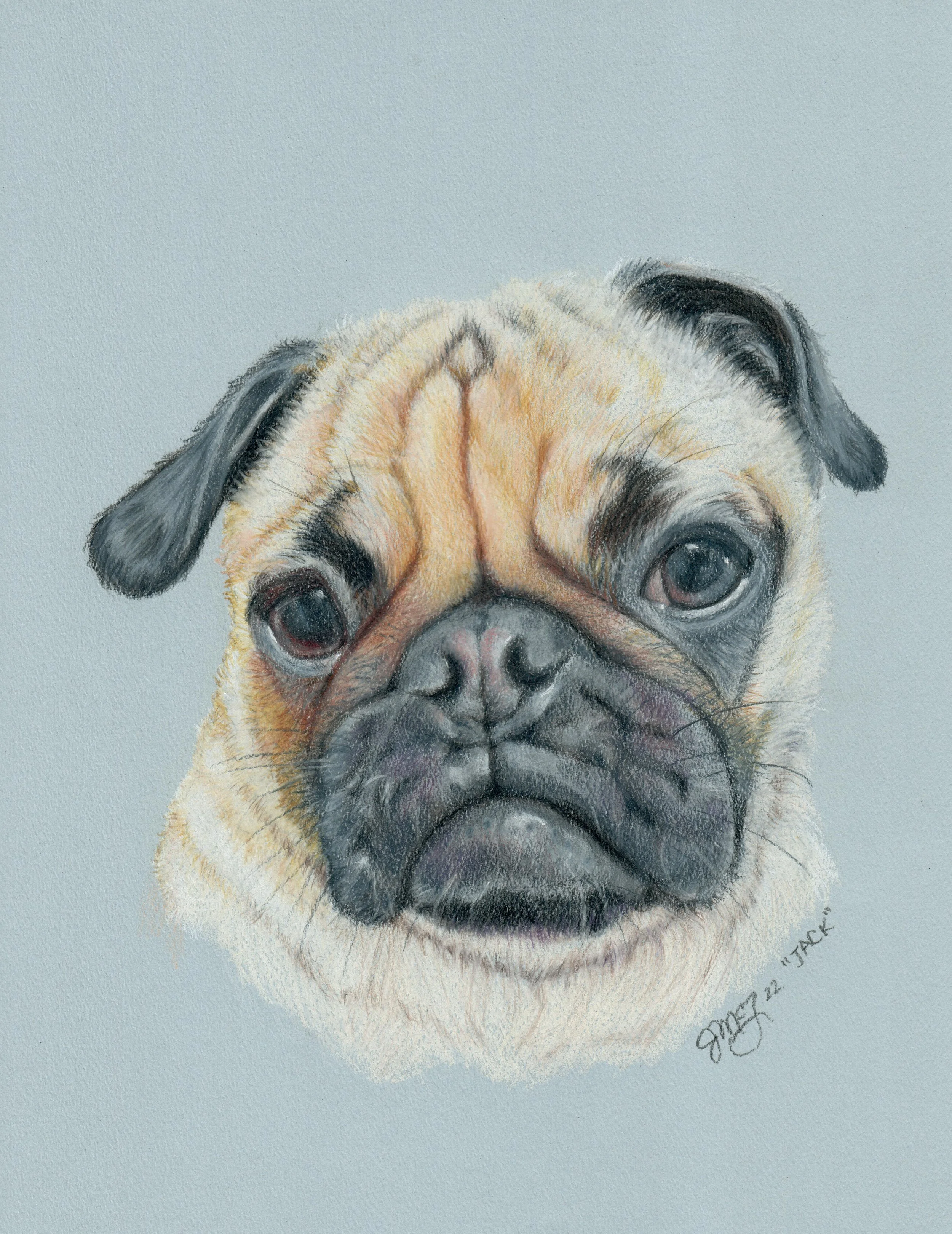 "Jack" - 2022 - Colored Pencil on Pastel Paper