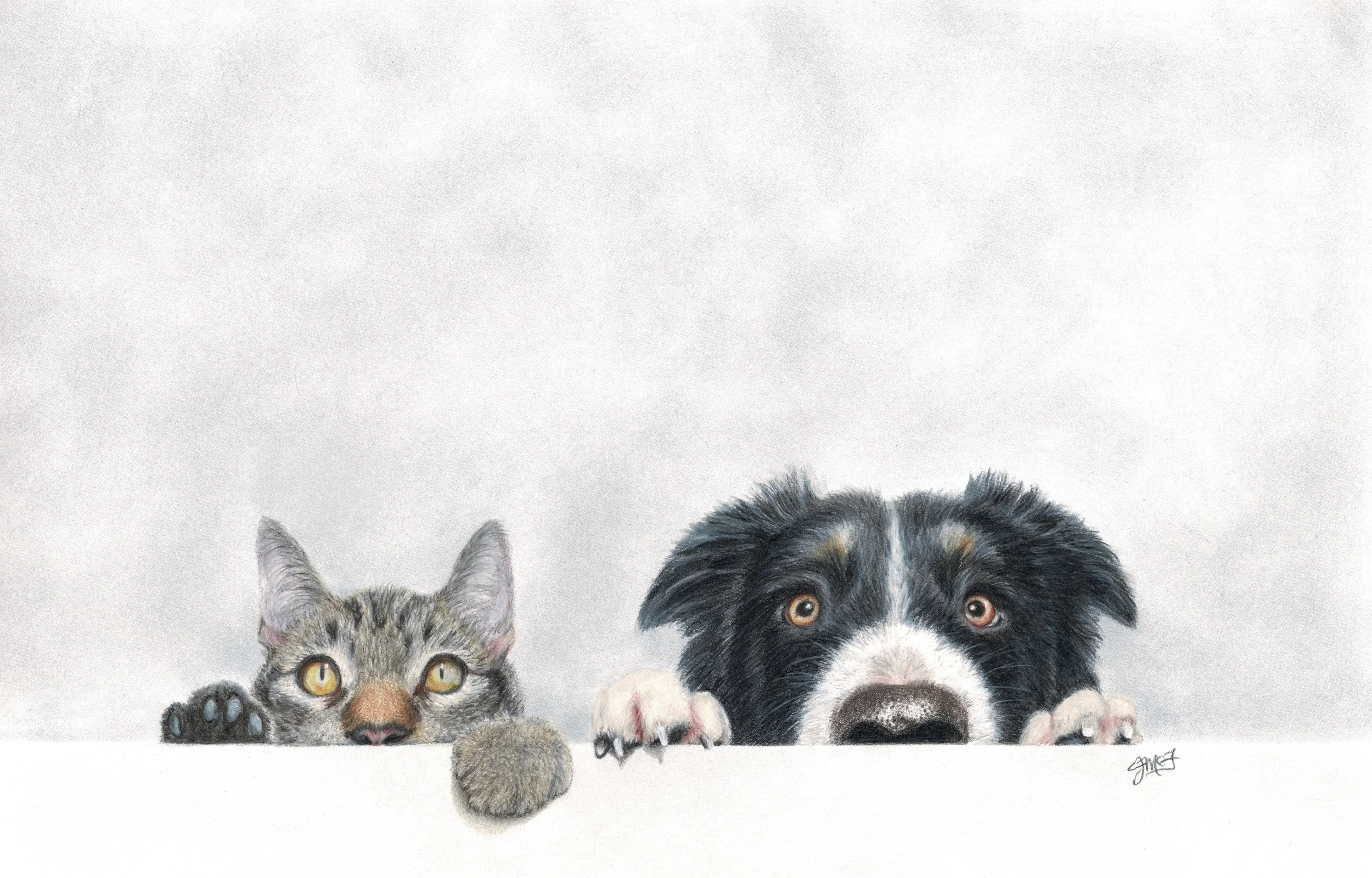 "Fear Not" Cat and Dog - Wildlife Whispers - 2026 Colored Pencil and Pan Pastel on Fabriano Acquarello Watercolour Paper. (Licensed Shutterstock Reference Photo by smrm1977.) 11 x 14 Framed Original - $350. Limited Edition Giclee Prints Available. "B