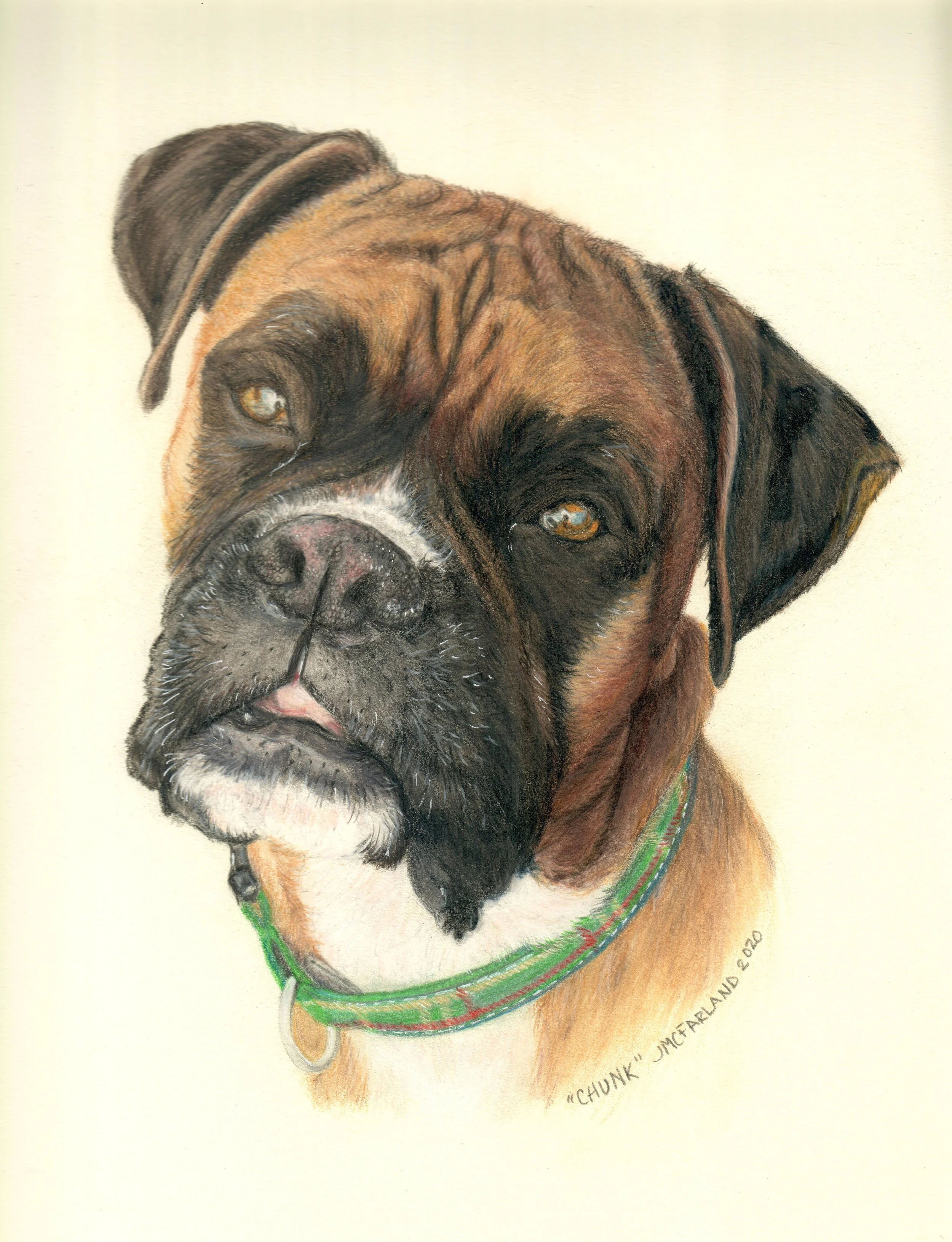 "Chunk" - 2020 - Colored Pencil on Strathmore Drawing Paper