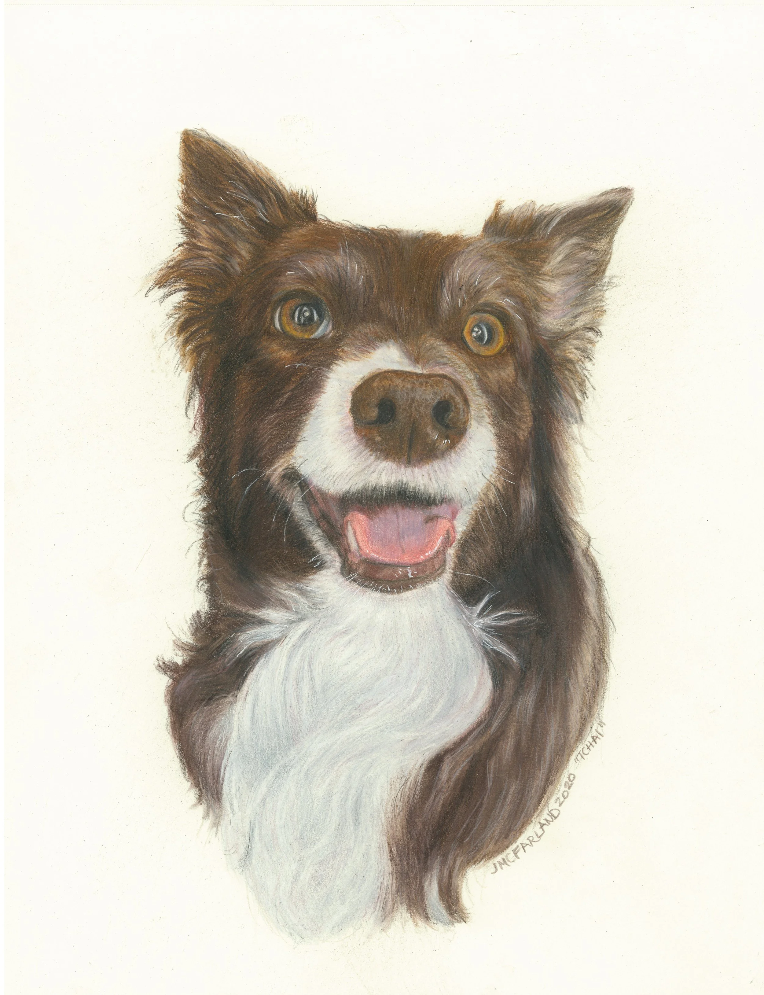 "Tchai" - 2020 - Colored Pencil on Strathmore Drawing Paper