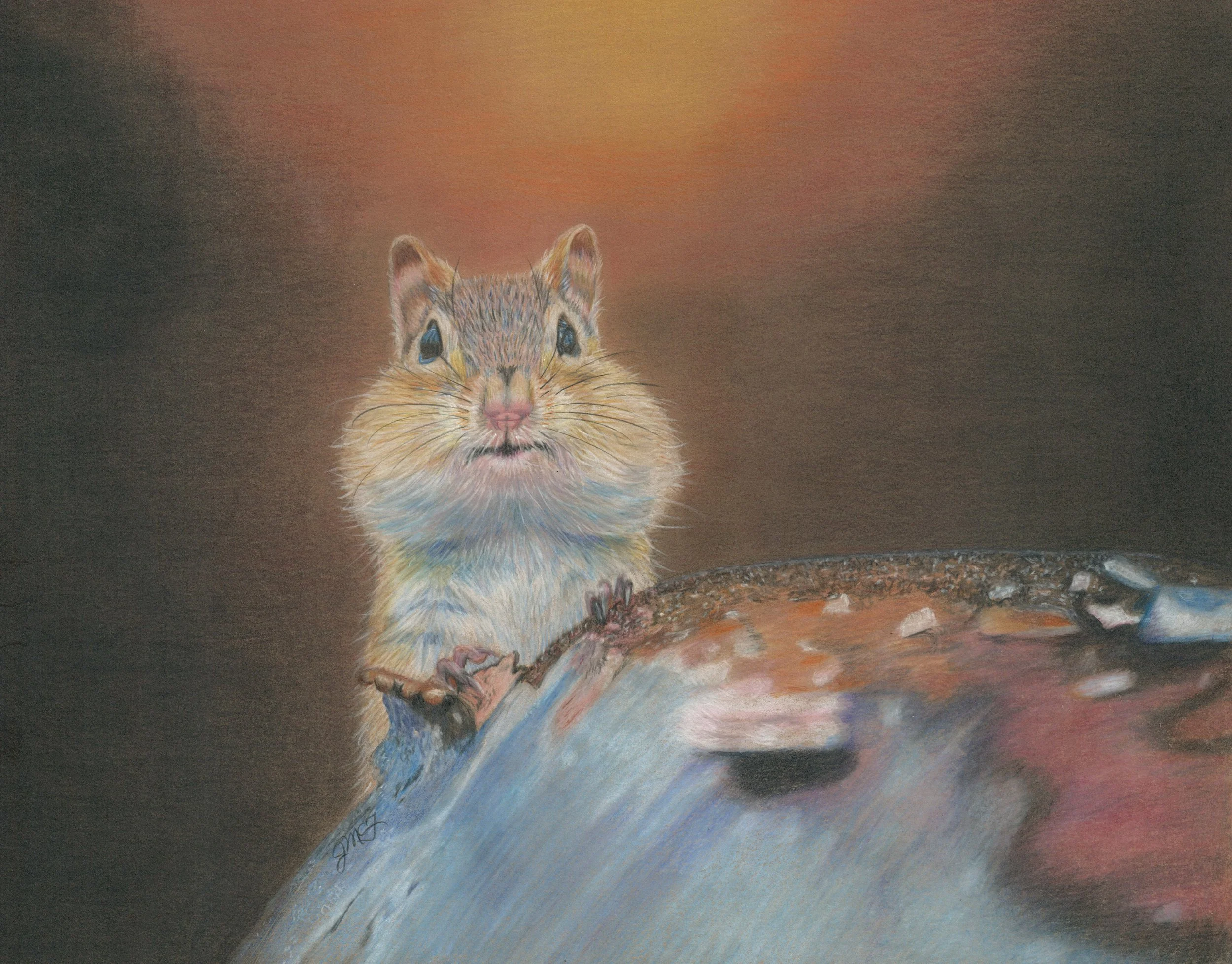 "Sweet Cheeks" - Wildlife Whispers - 2024 Colored Pencil and PanPastel on Stonehenge Kraft Drawing Paper. (Pexels Reference Photo Credit: Skyler Ewing) 11 x 14 Framed Original: $350. Giclee Prints Available. 

“…But store up for yourselves treasures 