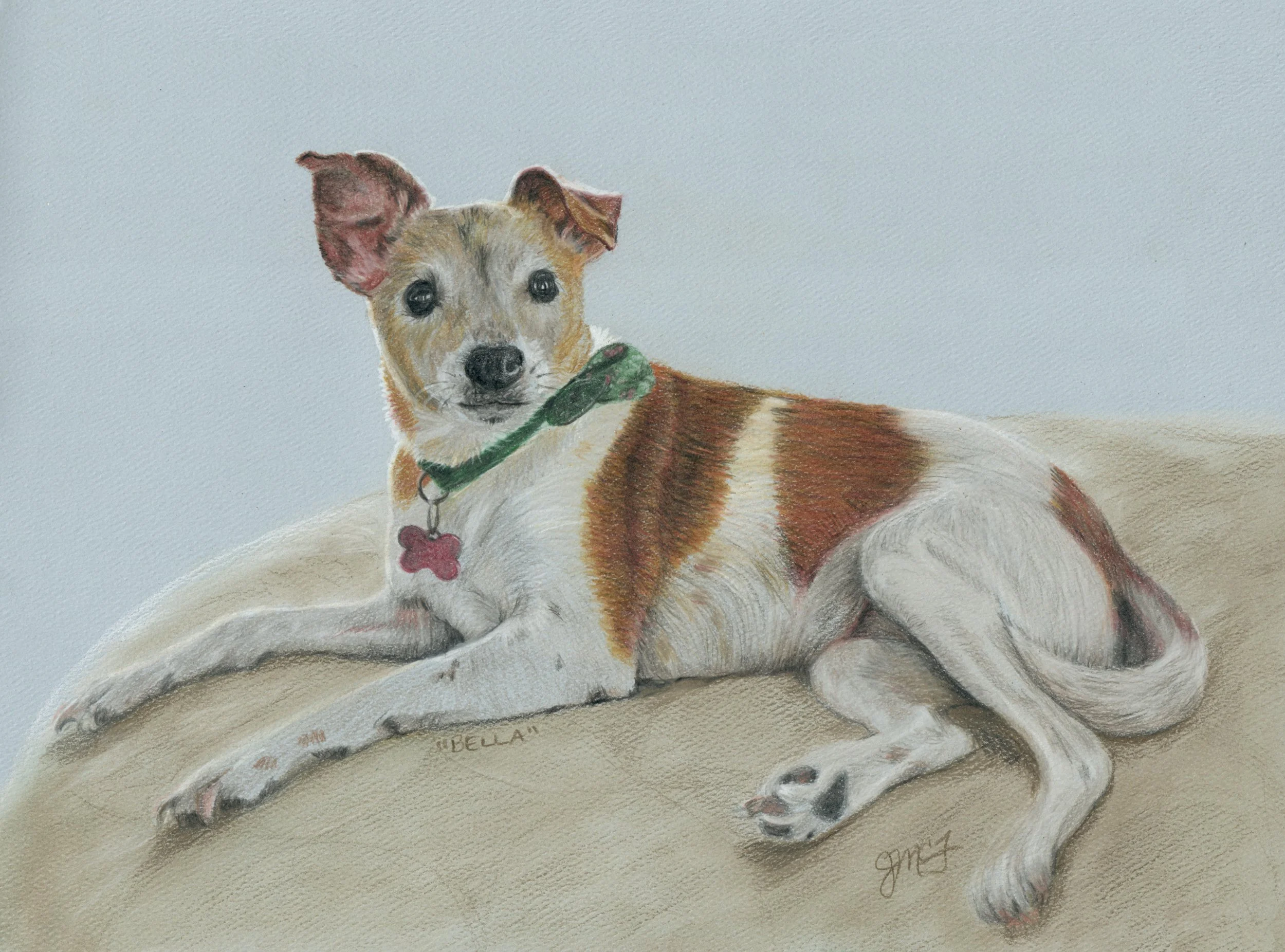 "Bella" - 2025 - Colored Pencil and PanPastel on Pastel Paper - Memorial
